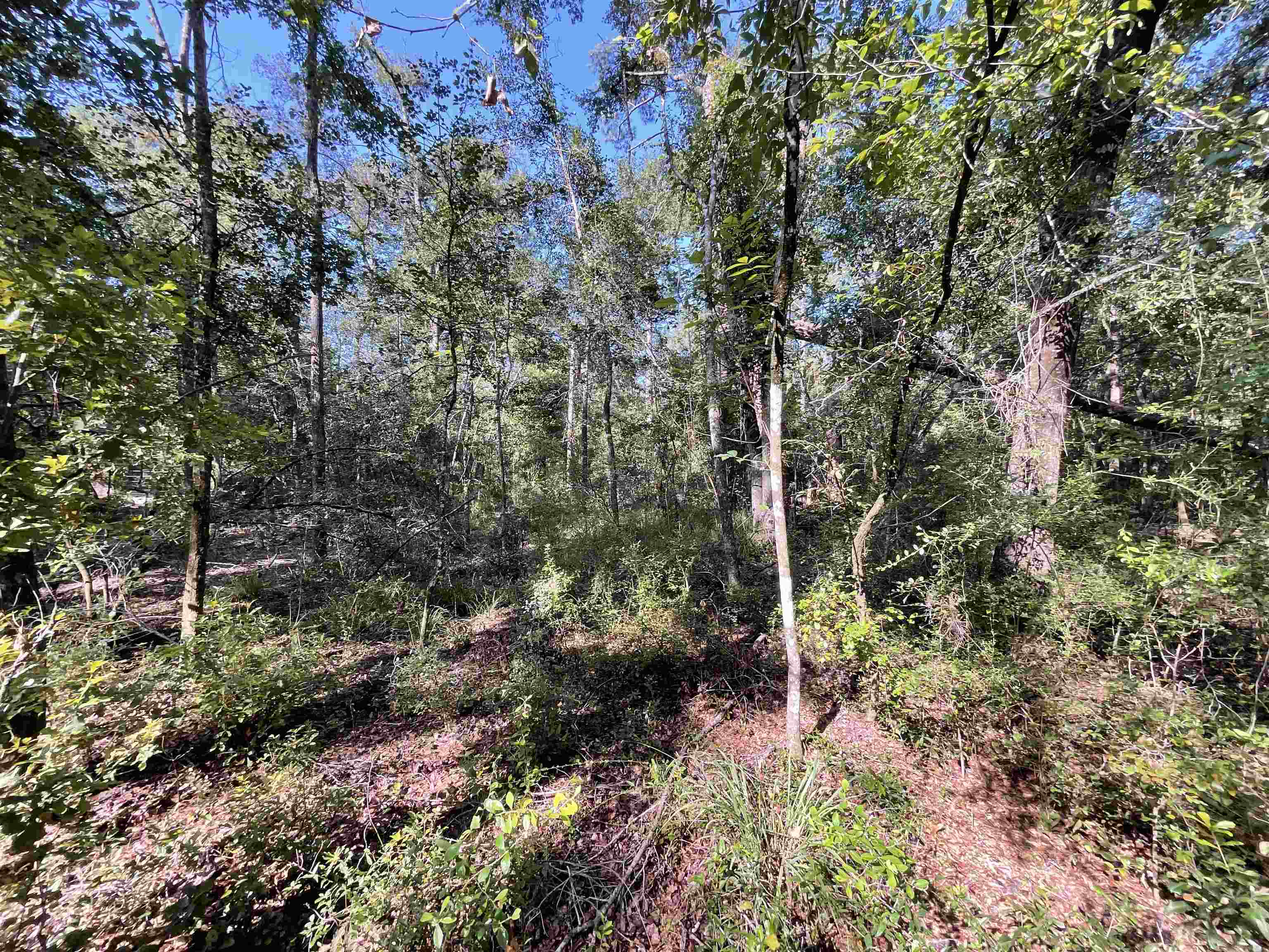 Vacant NE Madison Bluffs Way, Lee, Florida image 32