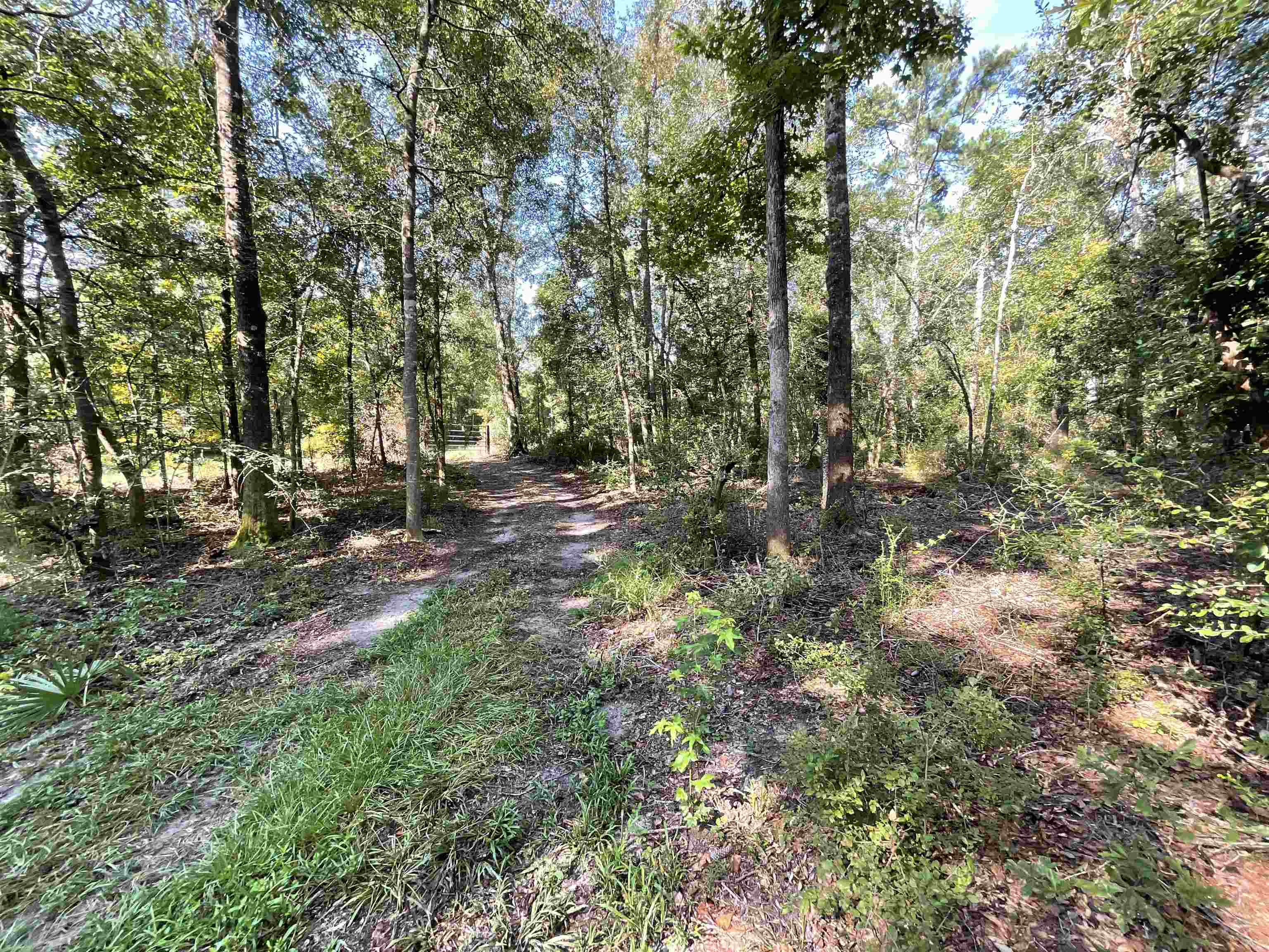 Vacant NE Madison Bluffs Way, Lee, Florida image 39