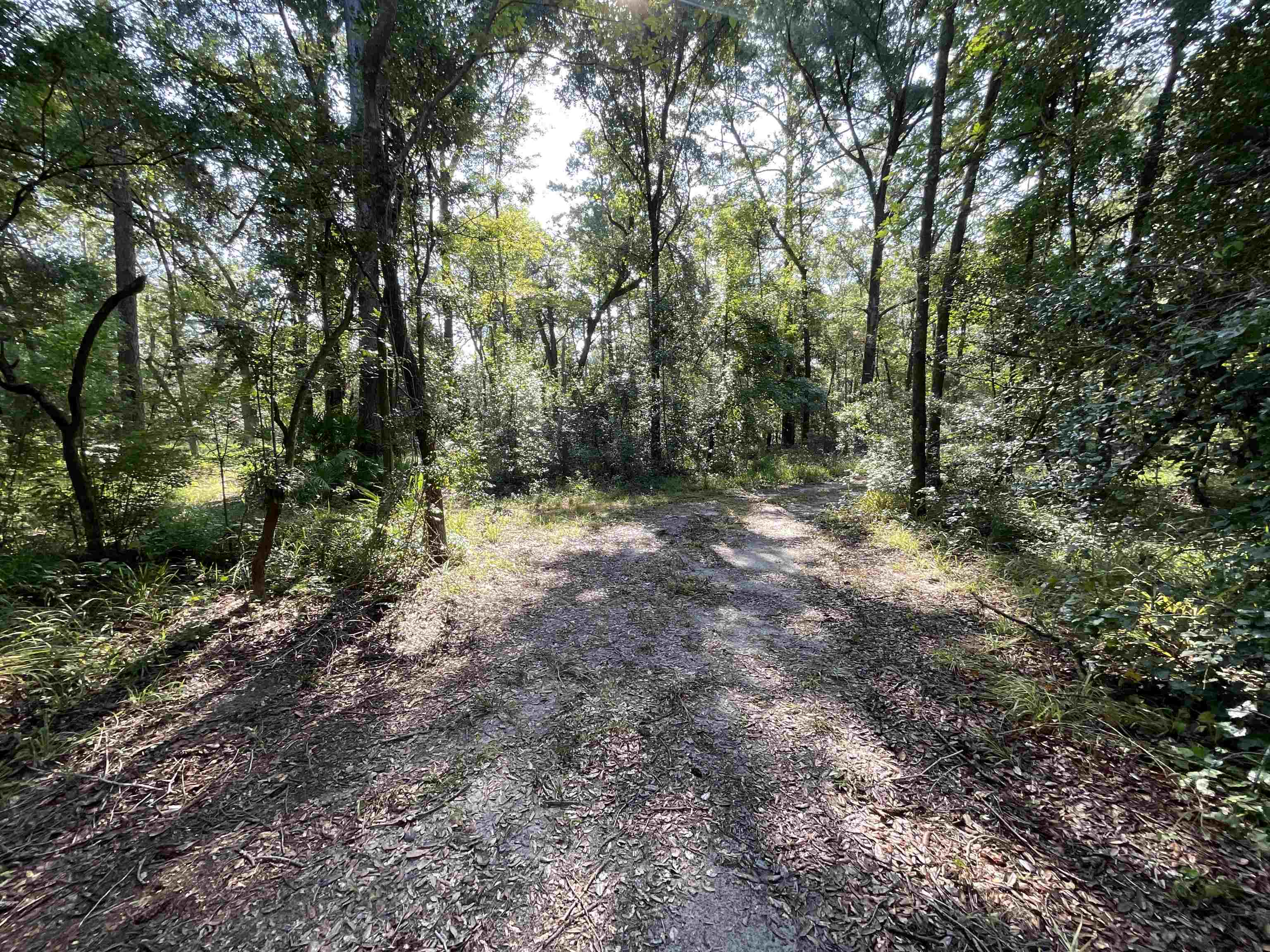 Vacant NE Madison Bluffs Way, Lee, Florida image 8