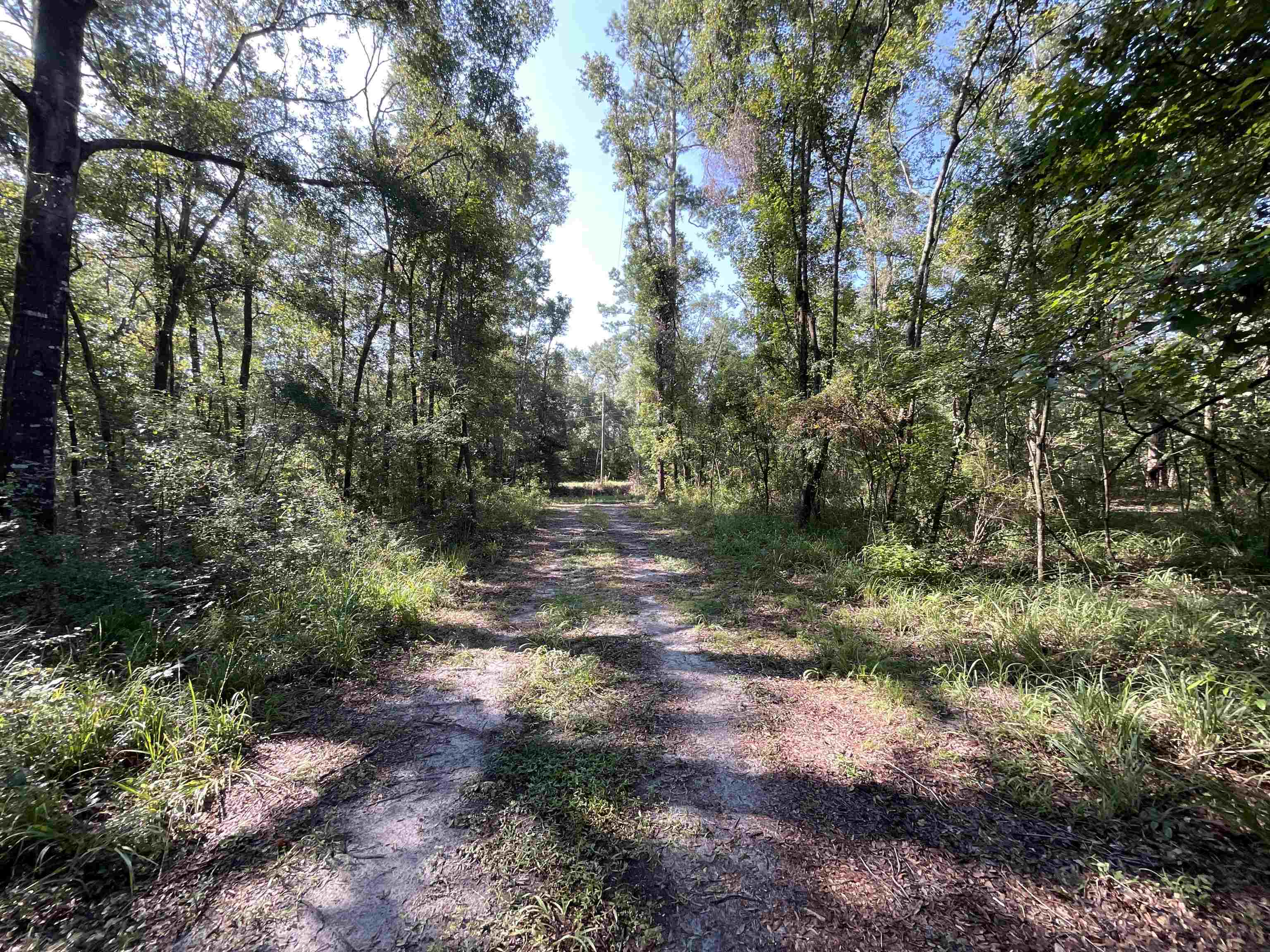 Vacant NE Madison Bluffs Way, Lee, Florida image 9