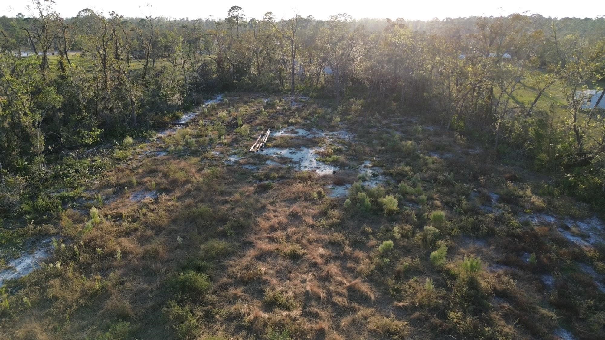 Lot 01 E Royal Oak Drive, Perry, Florida image 1