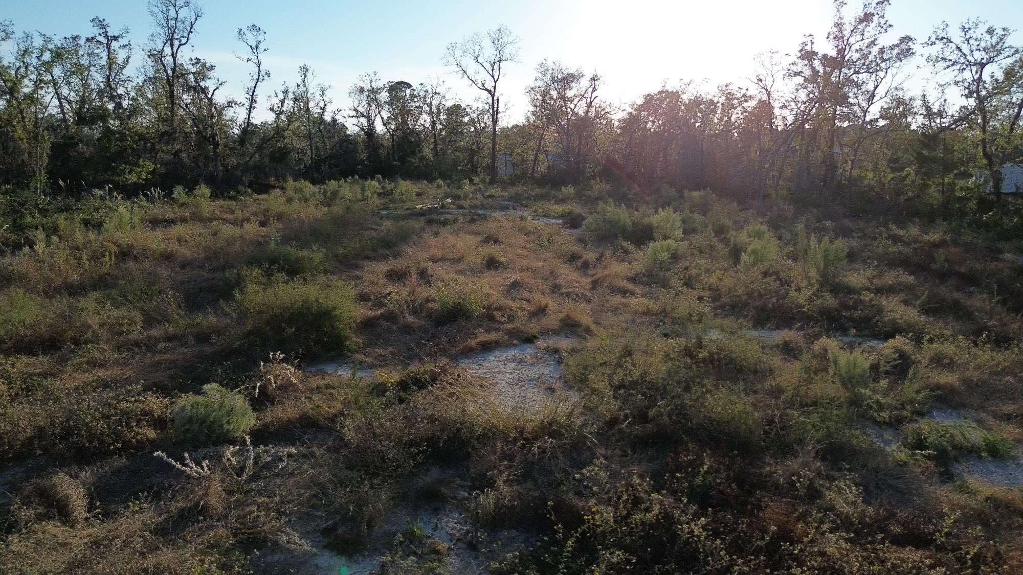 Lot 01 E Royal Oak Drive, Perry, Florida image 1