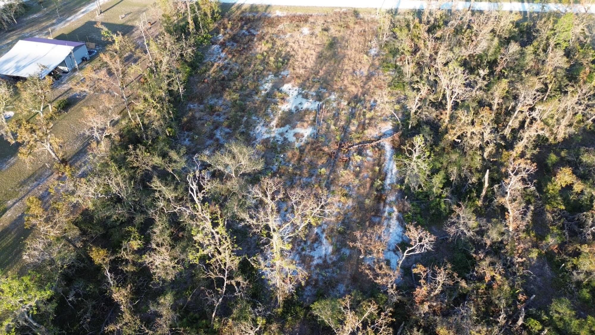 Lot 01 E Royal Oak Drive, Perry, Florida image 10