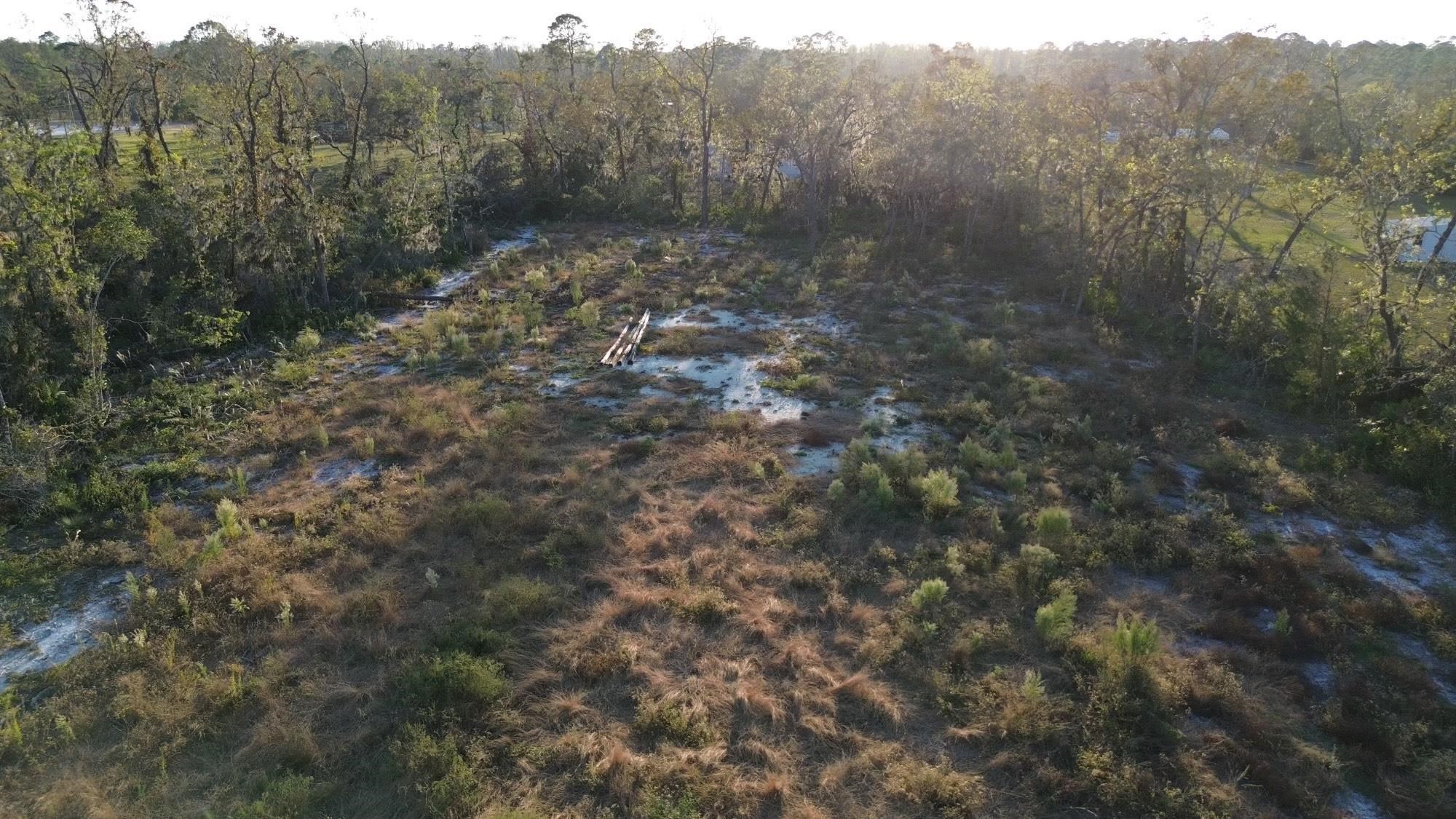 Lot 01 E Royal Oak Drive, Perry, Florida image 2