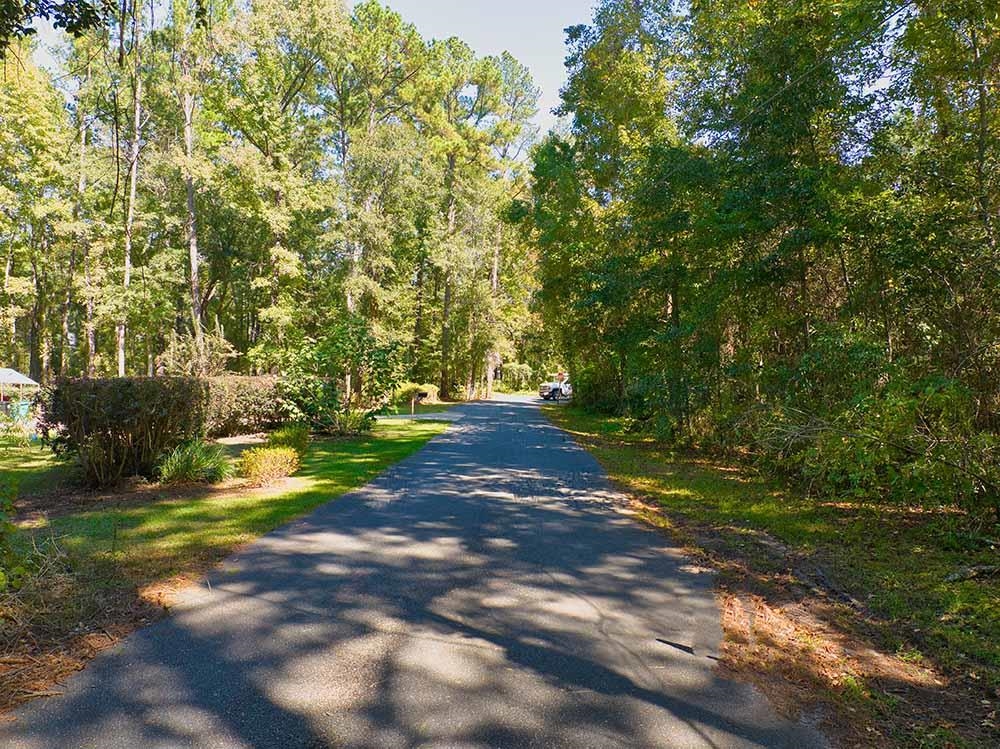 00 Moody Trail, Tallahassee, Florida image 10