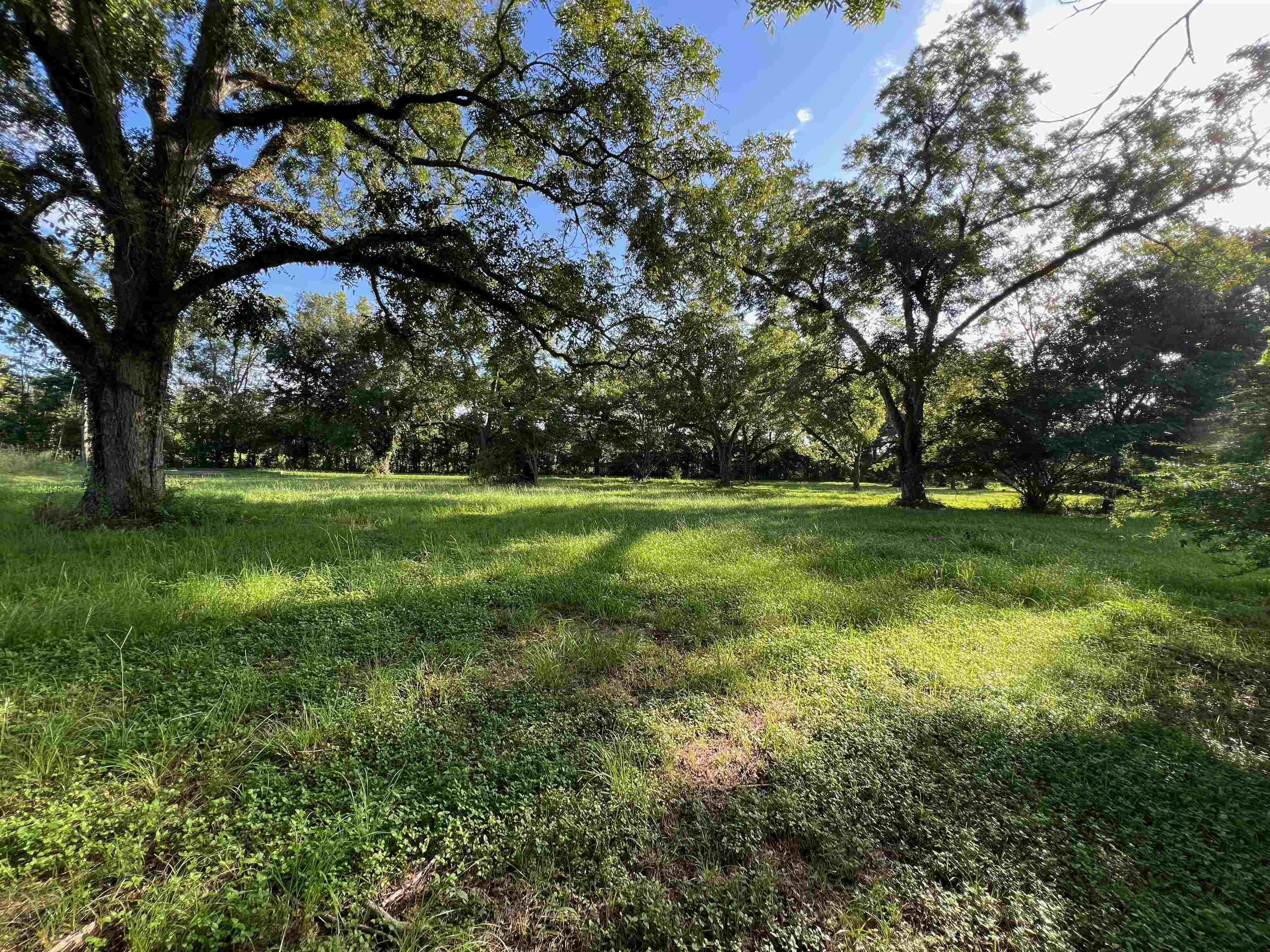 258 Harbin Road, Quincy, Florida image 9