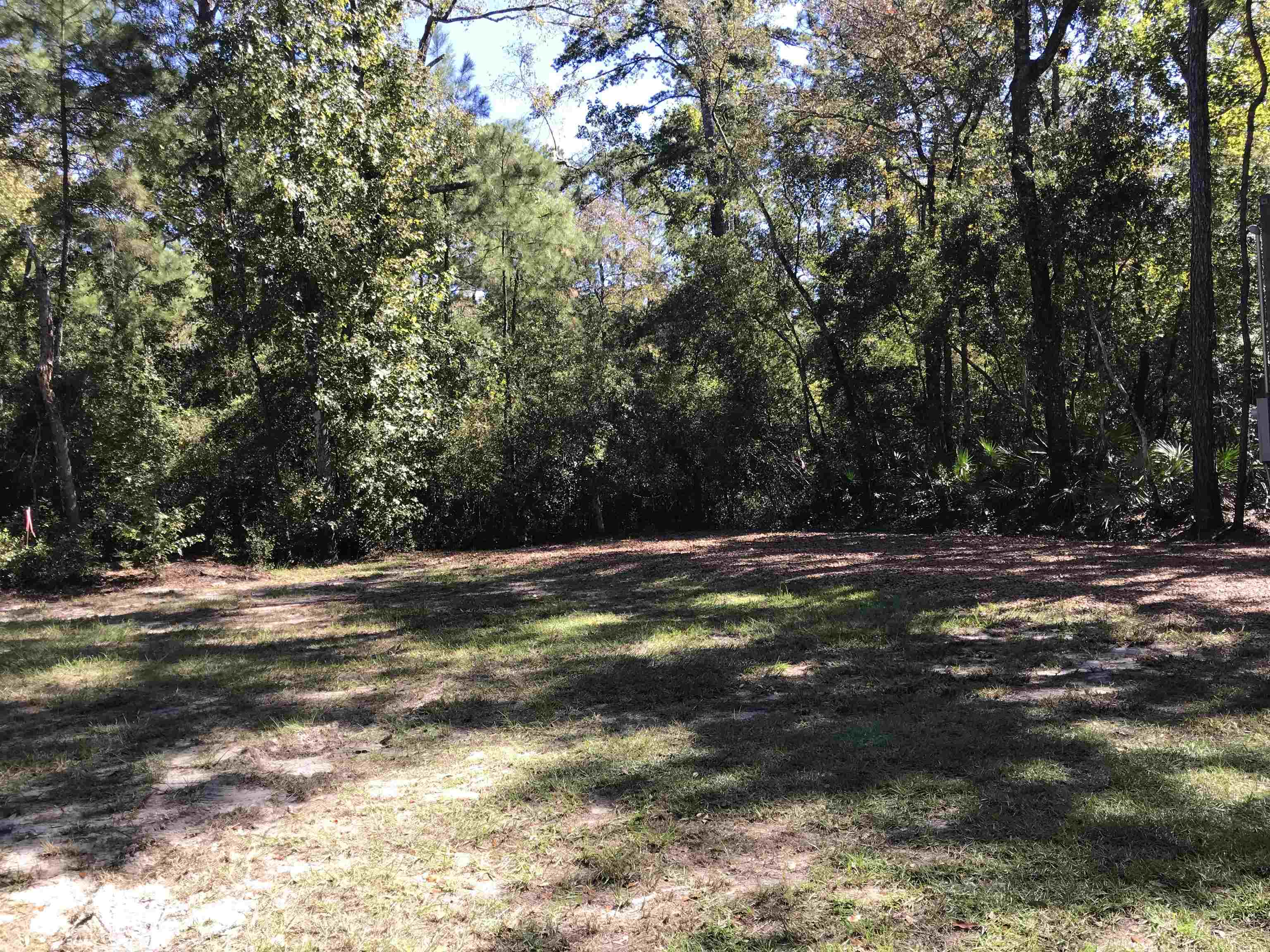 246 Mount Beasor Road, Sopchoppy, Florida image 10