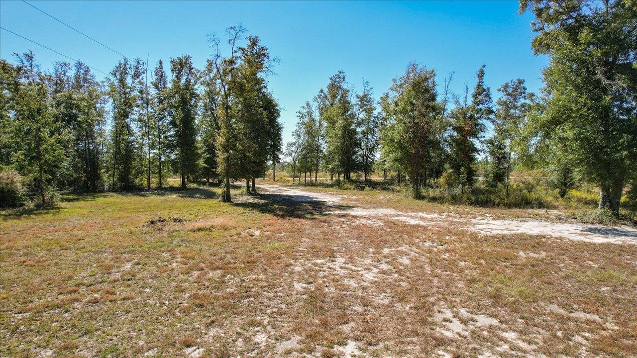 10864 SW Frink Baptist Church Road, Clarksville, Florida image 12