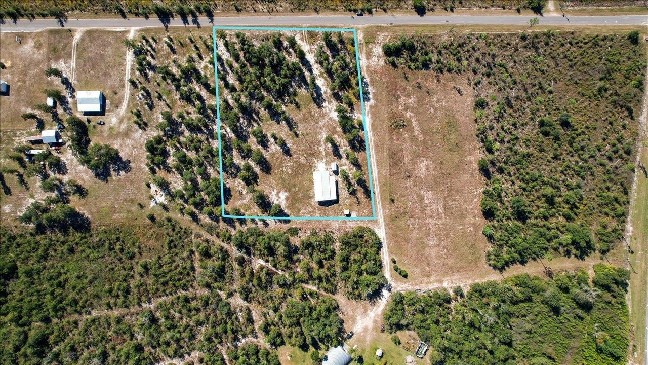 10864 SW Frink Baptist Church Road, Clarksville, Florida image 6