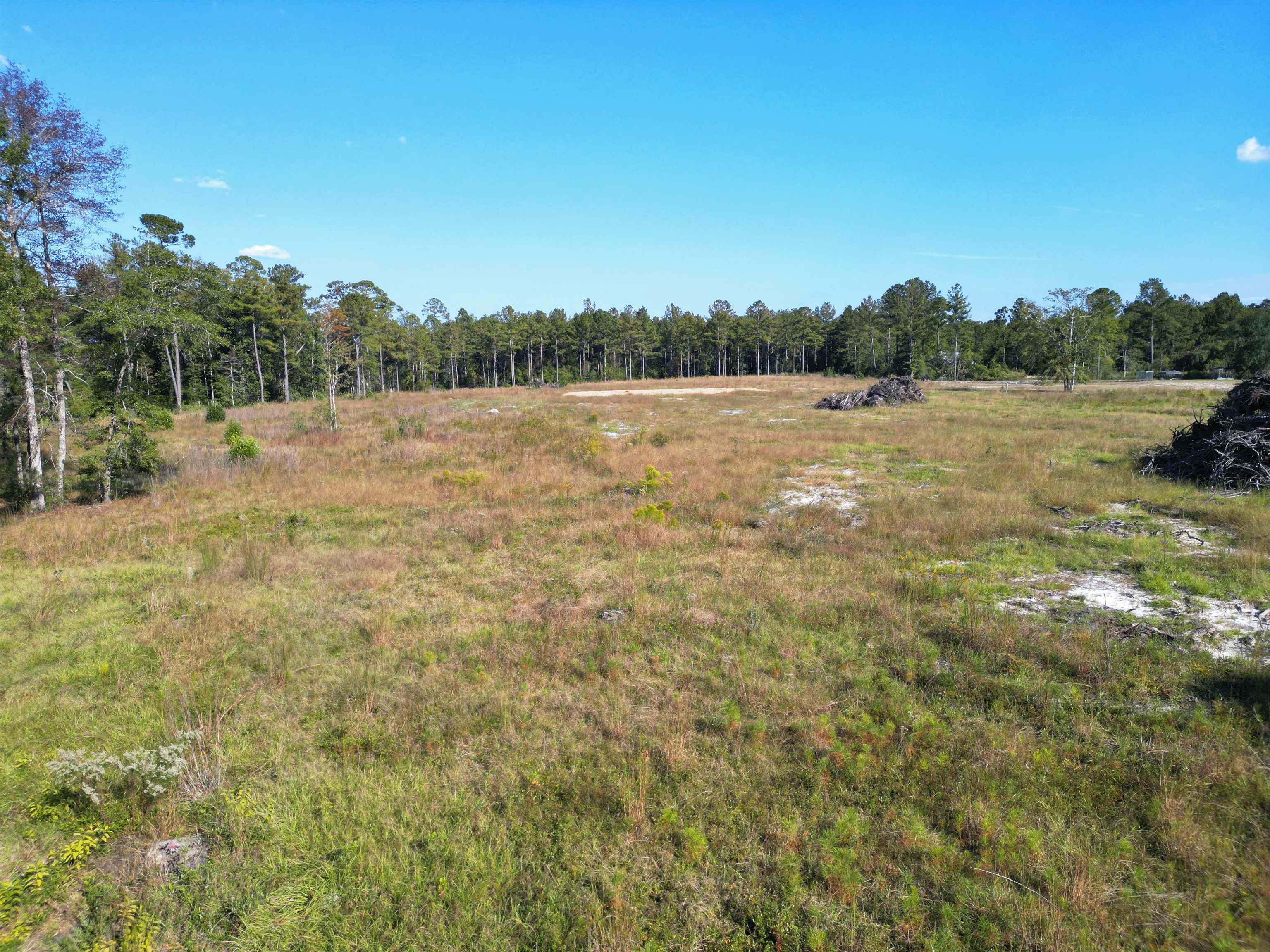 17752 NE Arnold Kelly Road, Hosford, Florida image 1