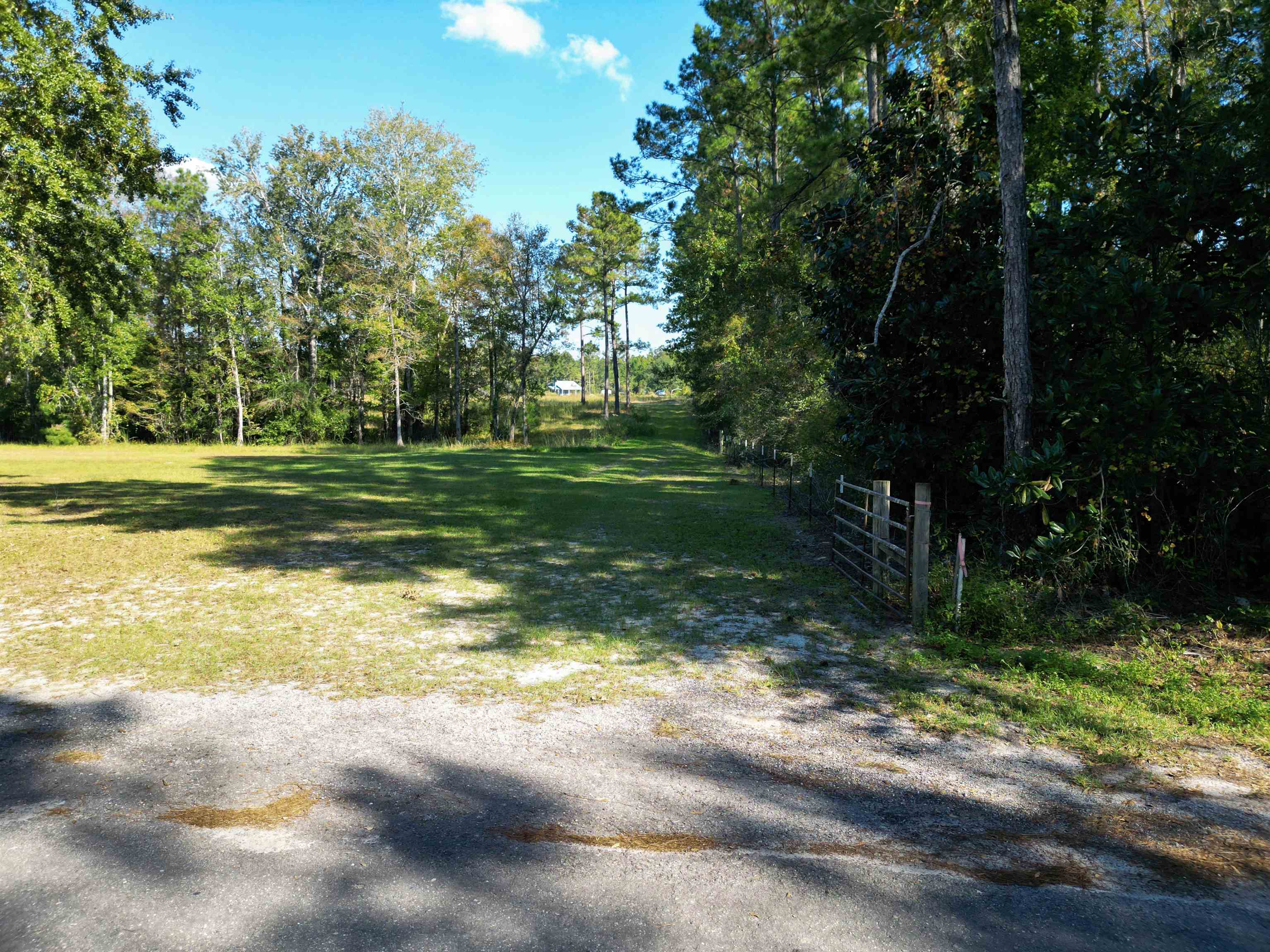 17752 NE Arnold Kelly Road, Hosford, Florida image 6