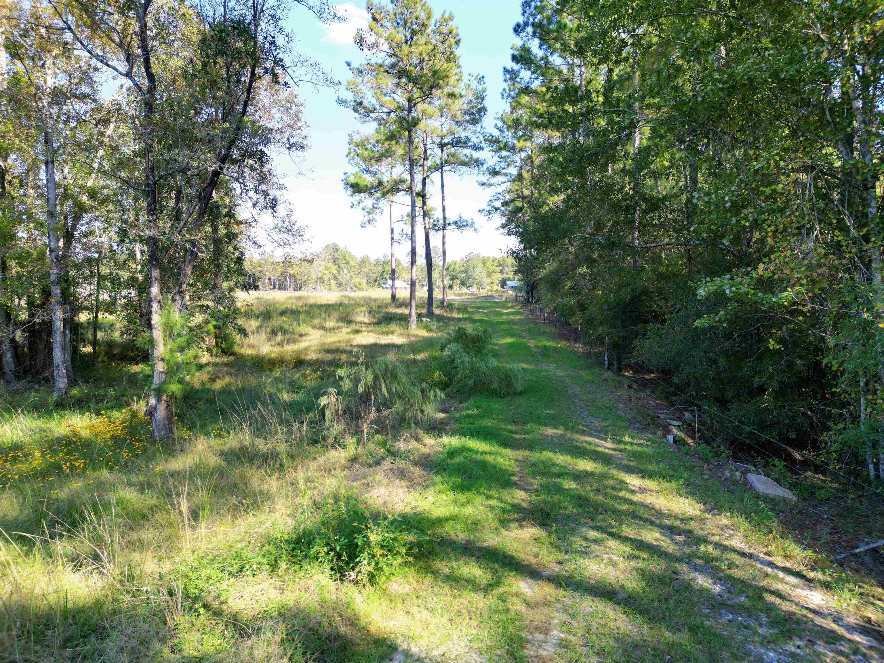 17752 NE Arnold Kelly Road, Hosford, Florida image 7