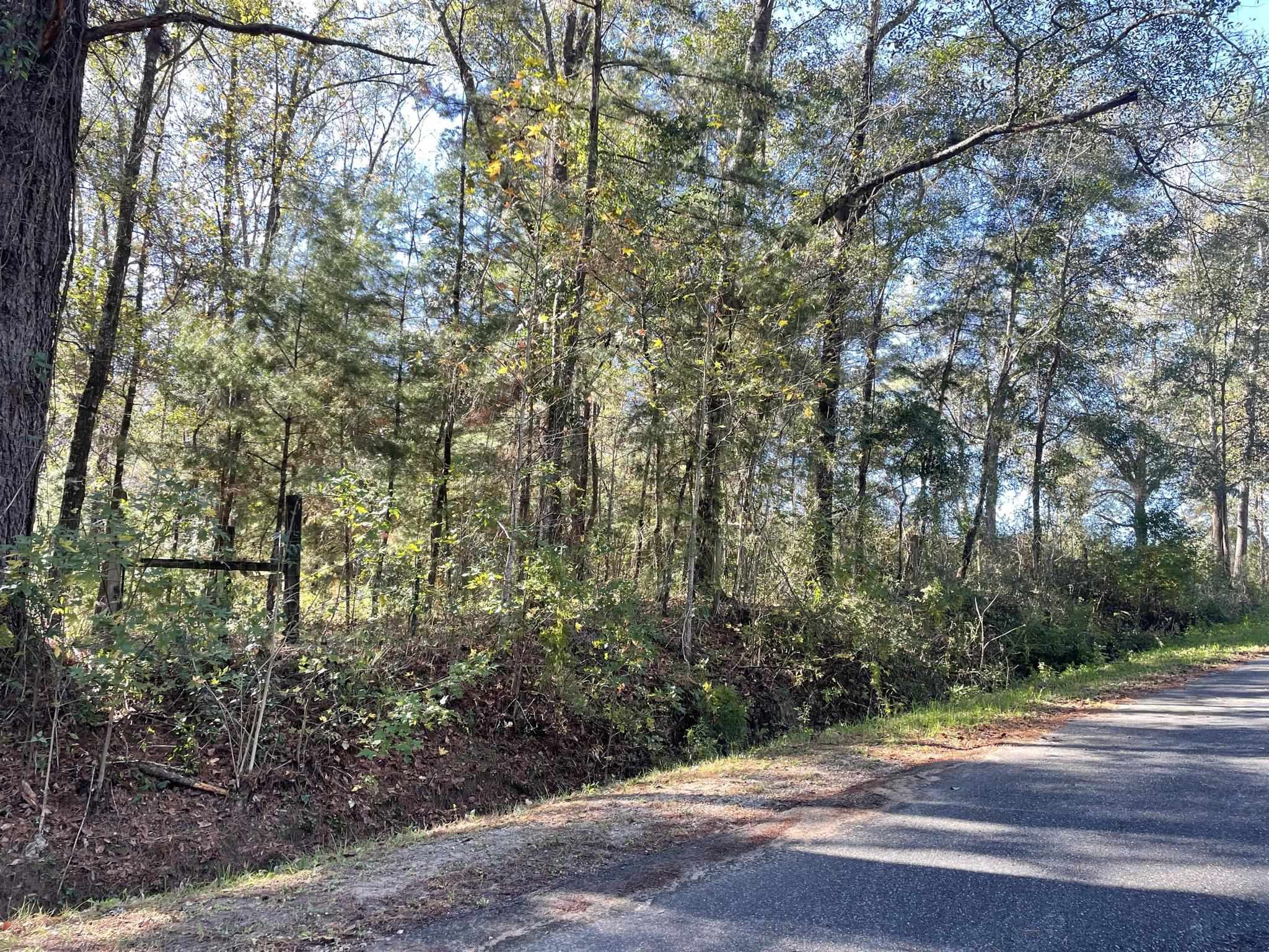 Lot 31 Red Fern Road, Havana, Florida image 11