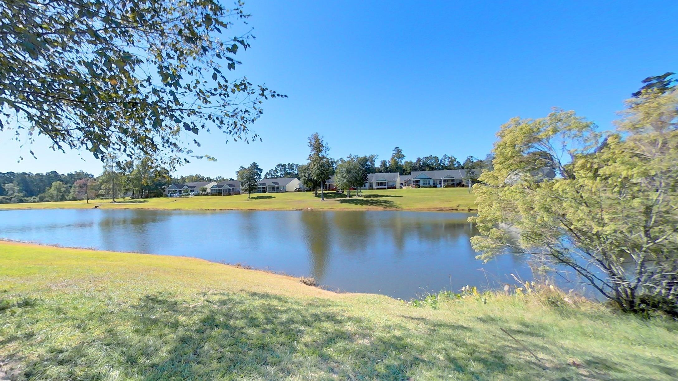 243 Lilliquin Drive, Thomasville, Georgia image 9