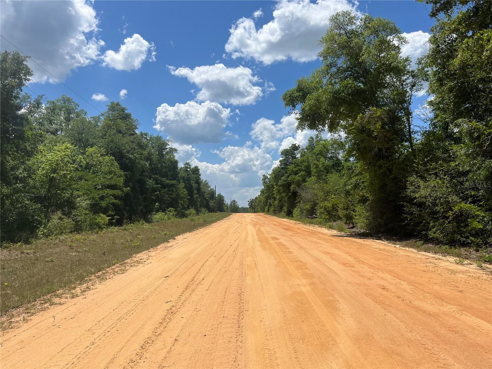 Hocking Street, Alford, Florida image 5