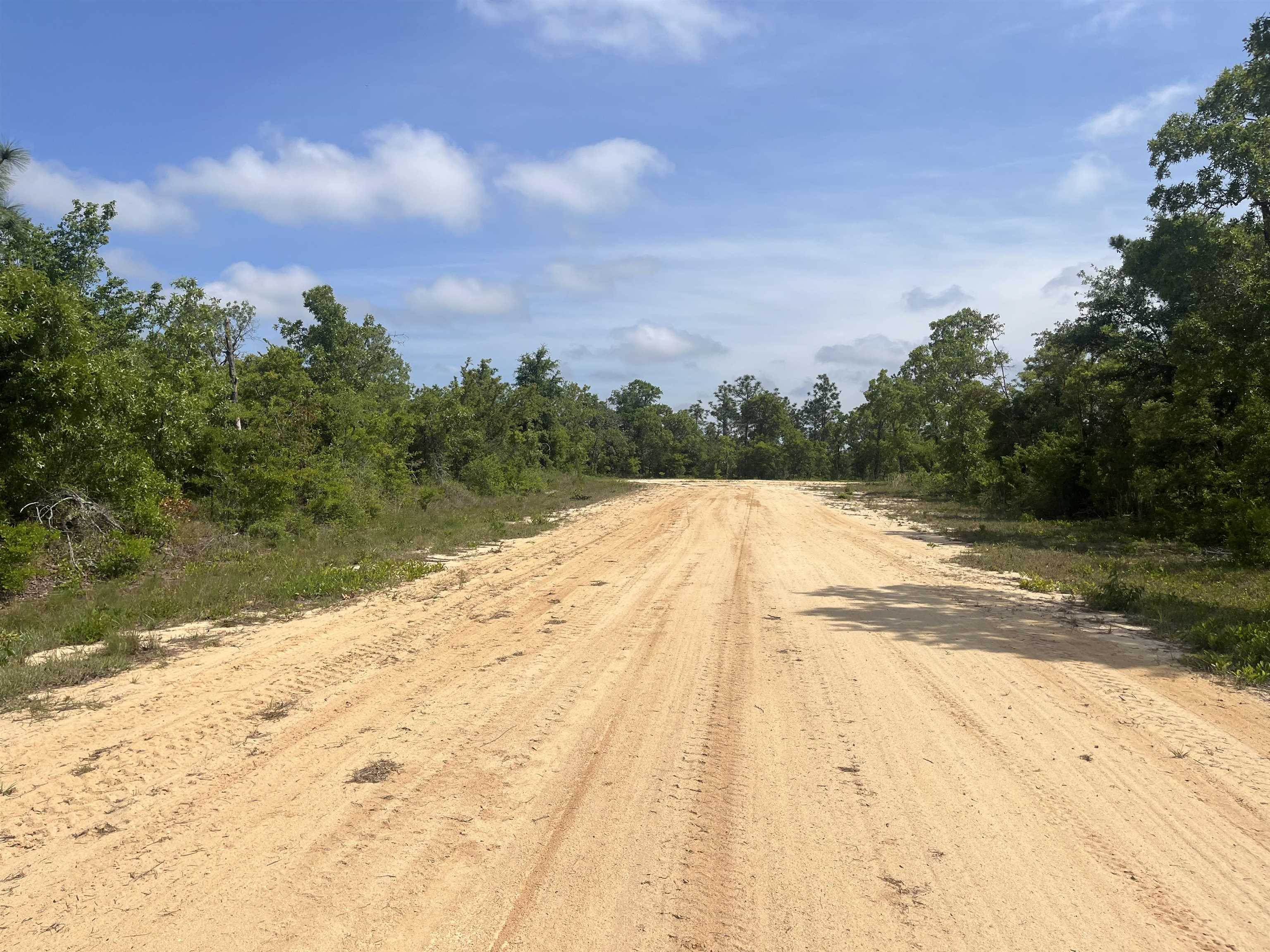 Rome Avenue, Alford, Florida image 6