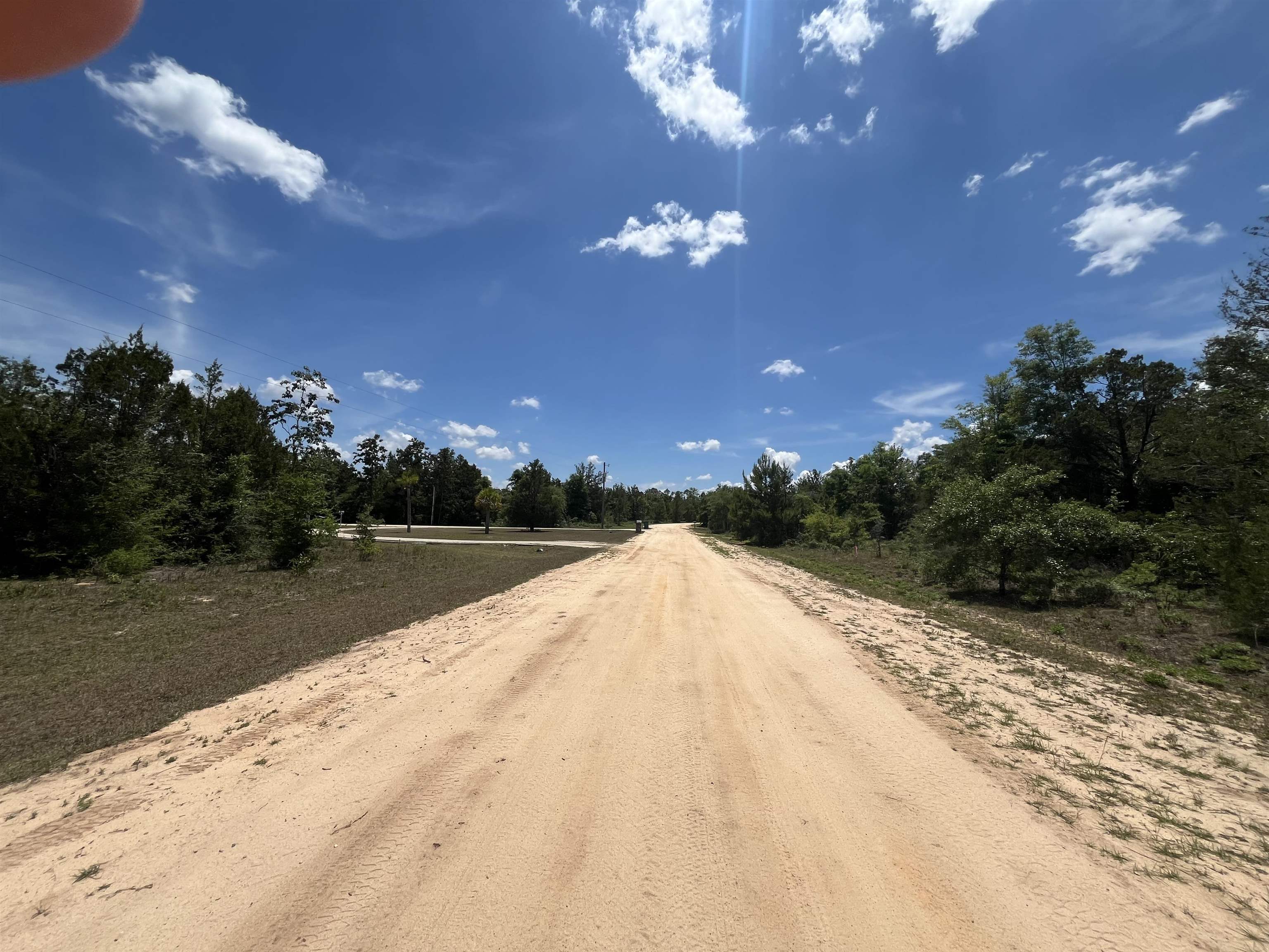 Magnolia Lane, Marianna, Florida image 3