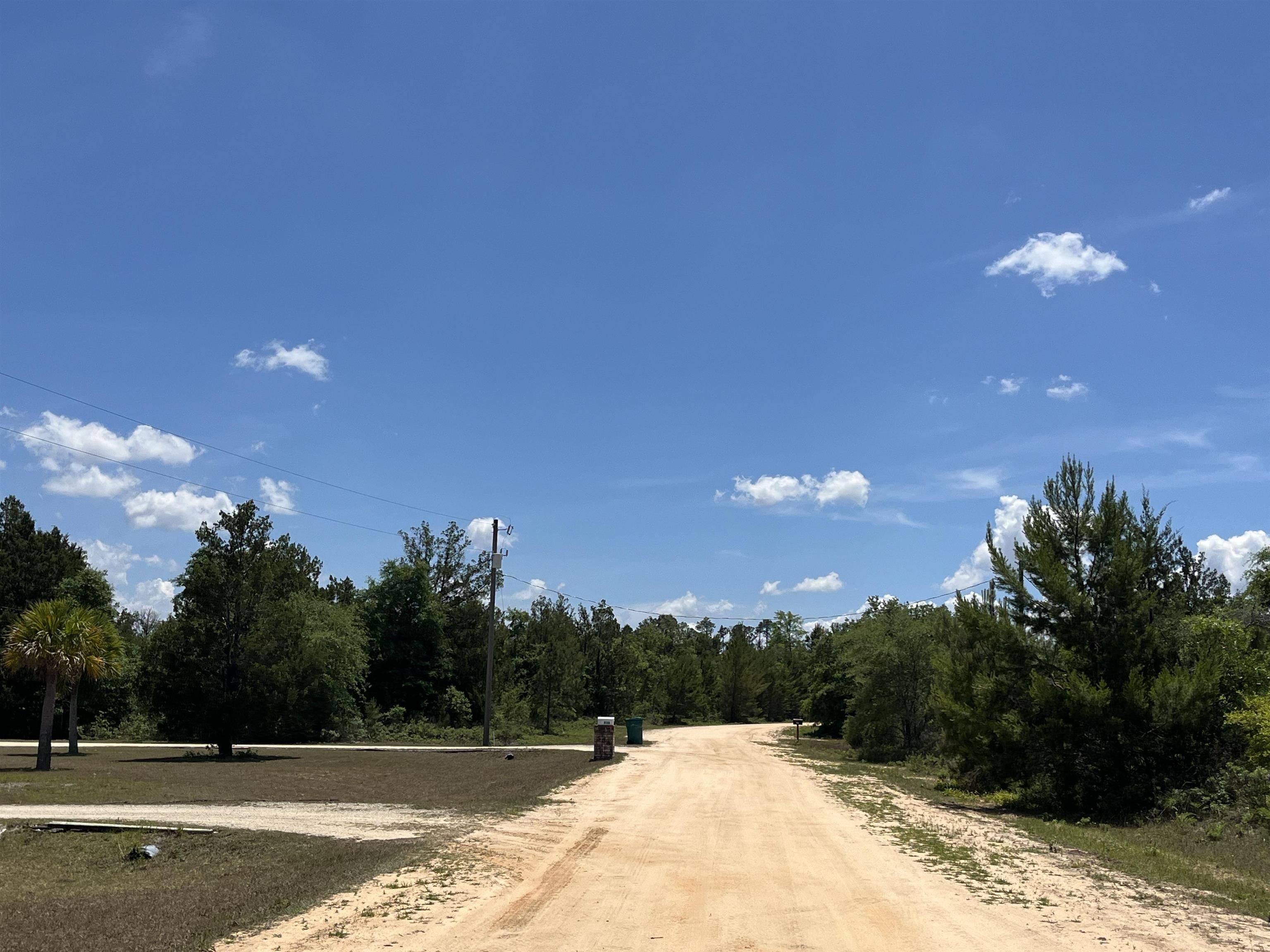 Magnolia Lane, Marianna, Florida image 4