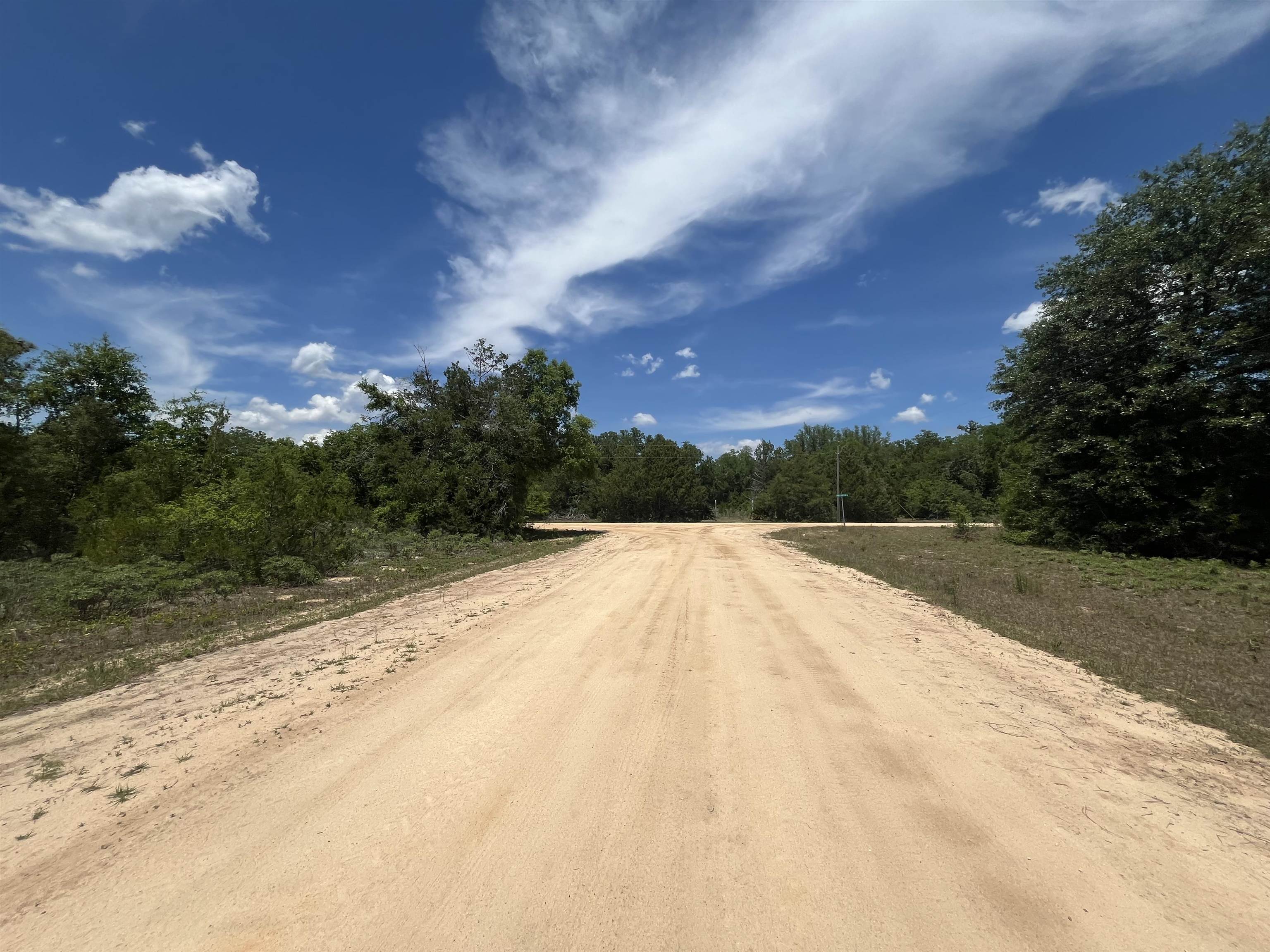 Magnolia Lane, Marianna, Florida image 6