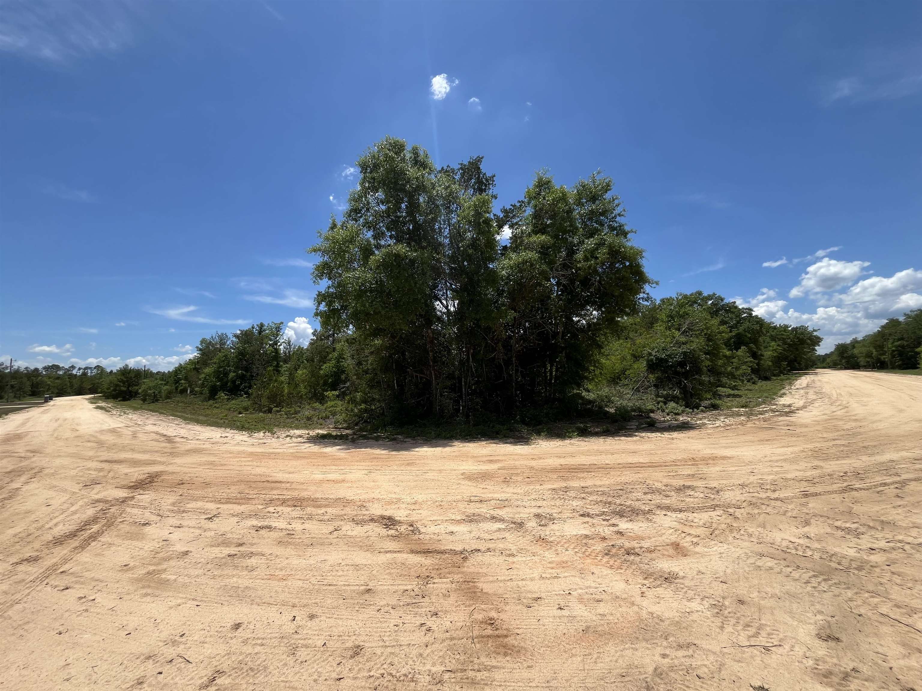 Magnolia Lane, Marianna, Florida image 9