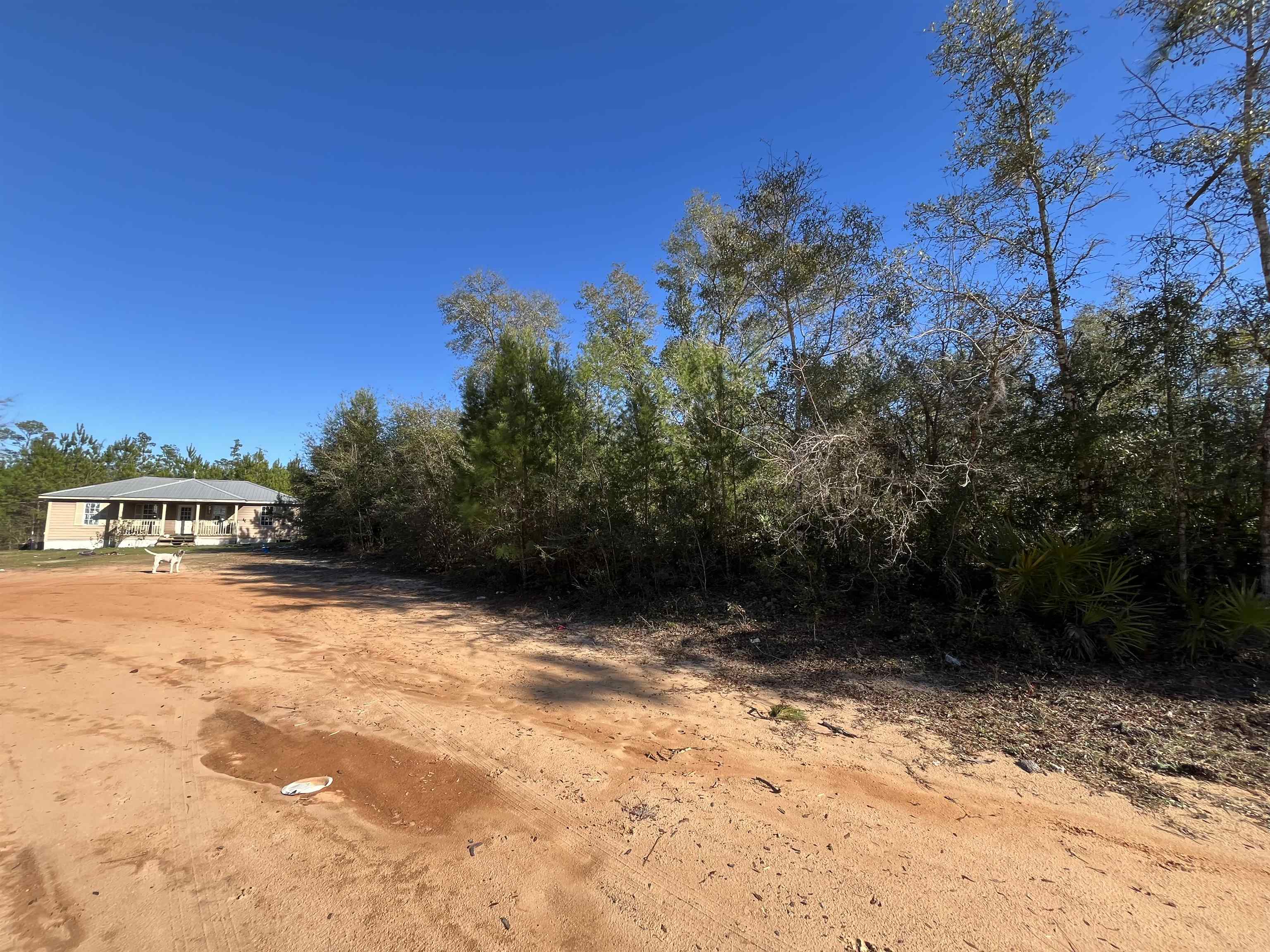 Bienville Court, Alford, Florida image 9