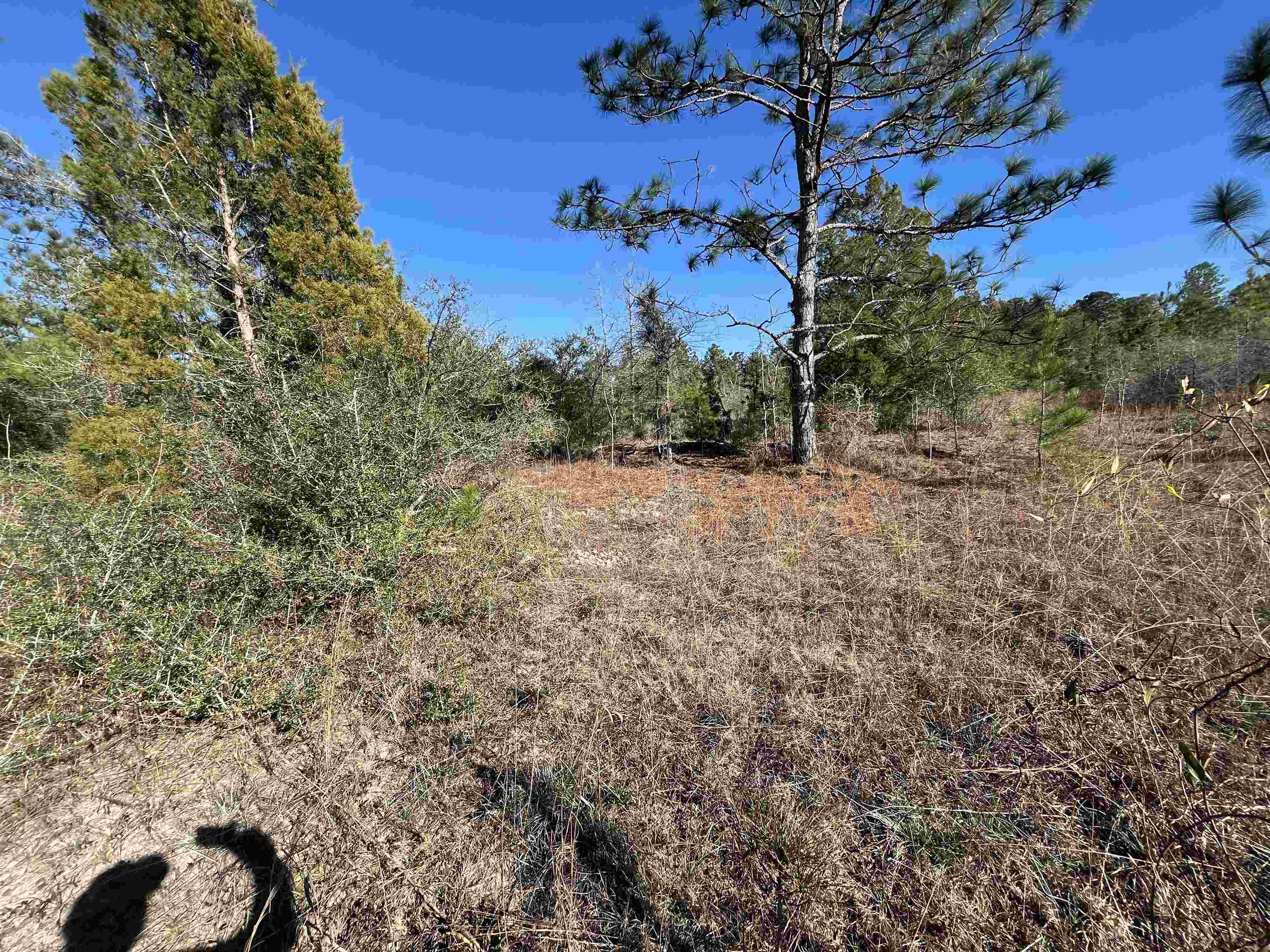 Fairview Road, Marianna, Florida image 8