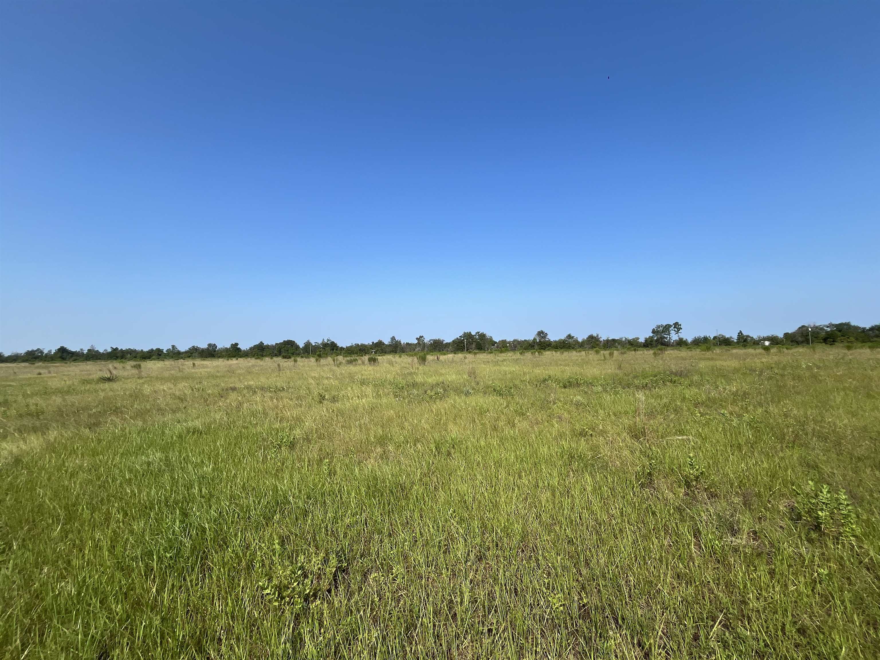 19690 NW Bar G Ranch Road, Altha, Florida image 4