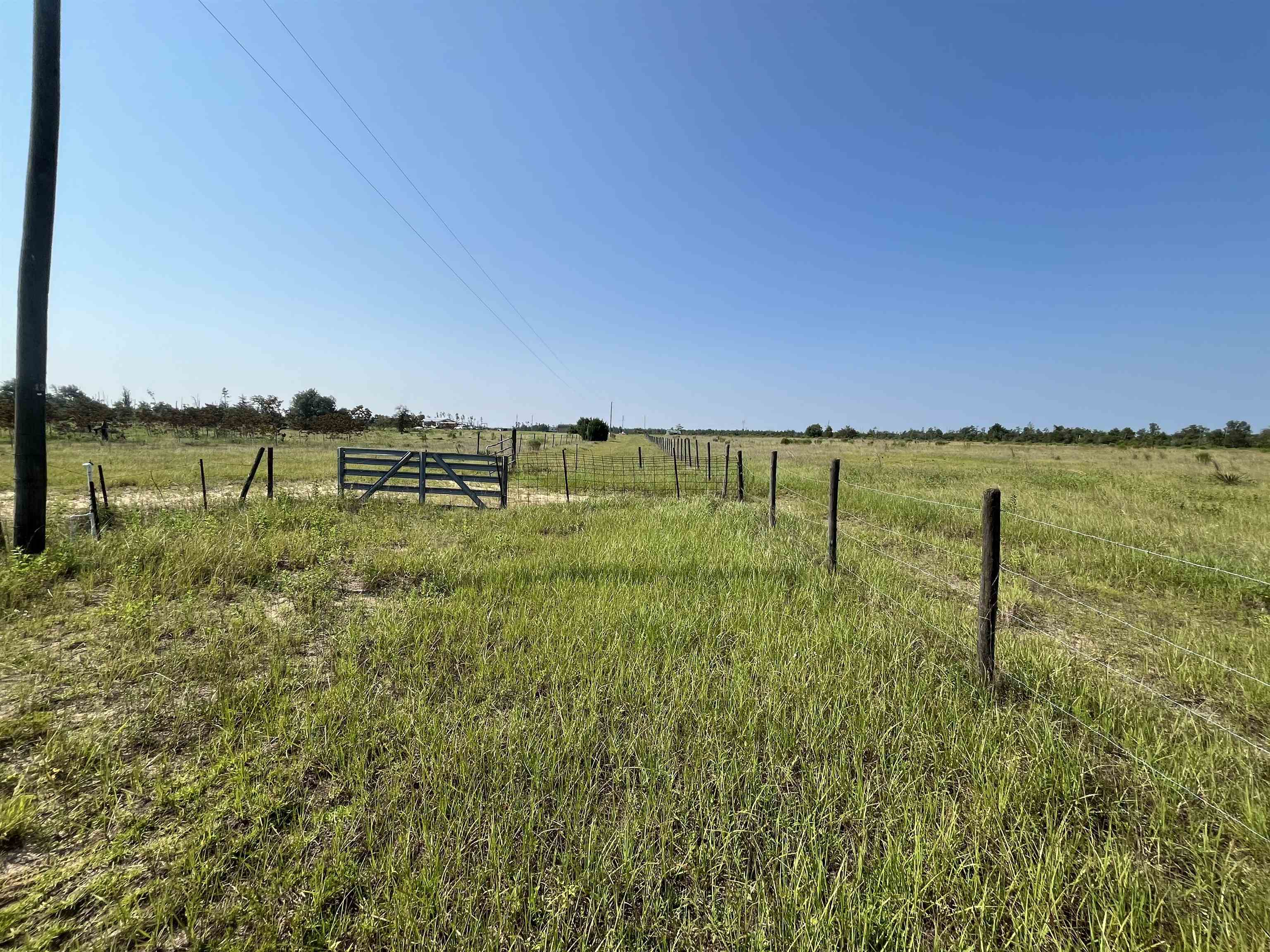 19690 NW Bar G Ranch Road, Altha, Florida image 5