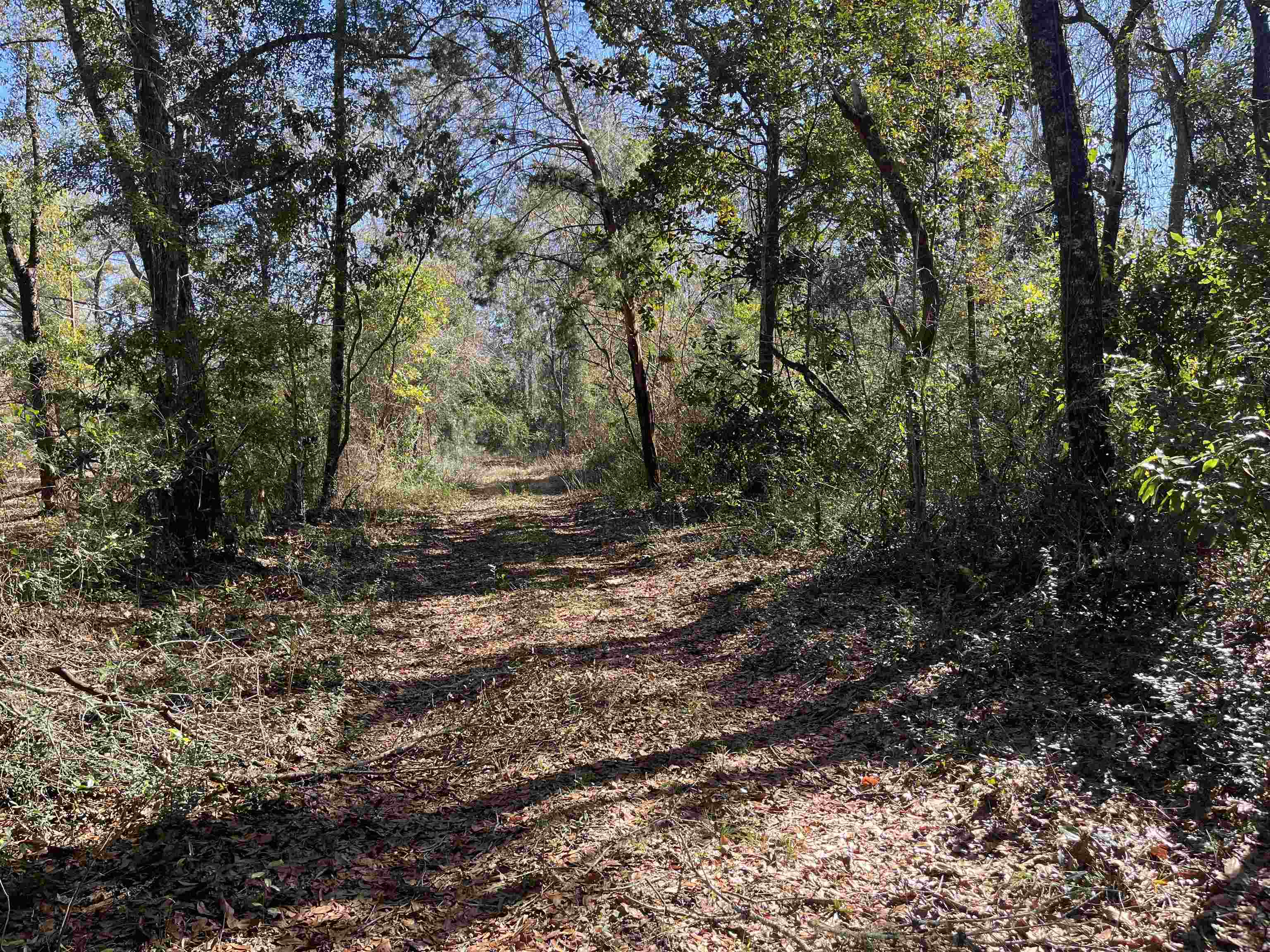 Crawfordville Highway, Crawfordville, Florida image 9