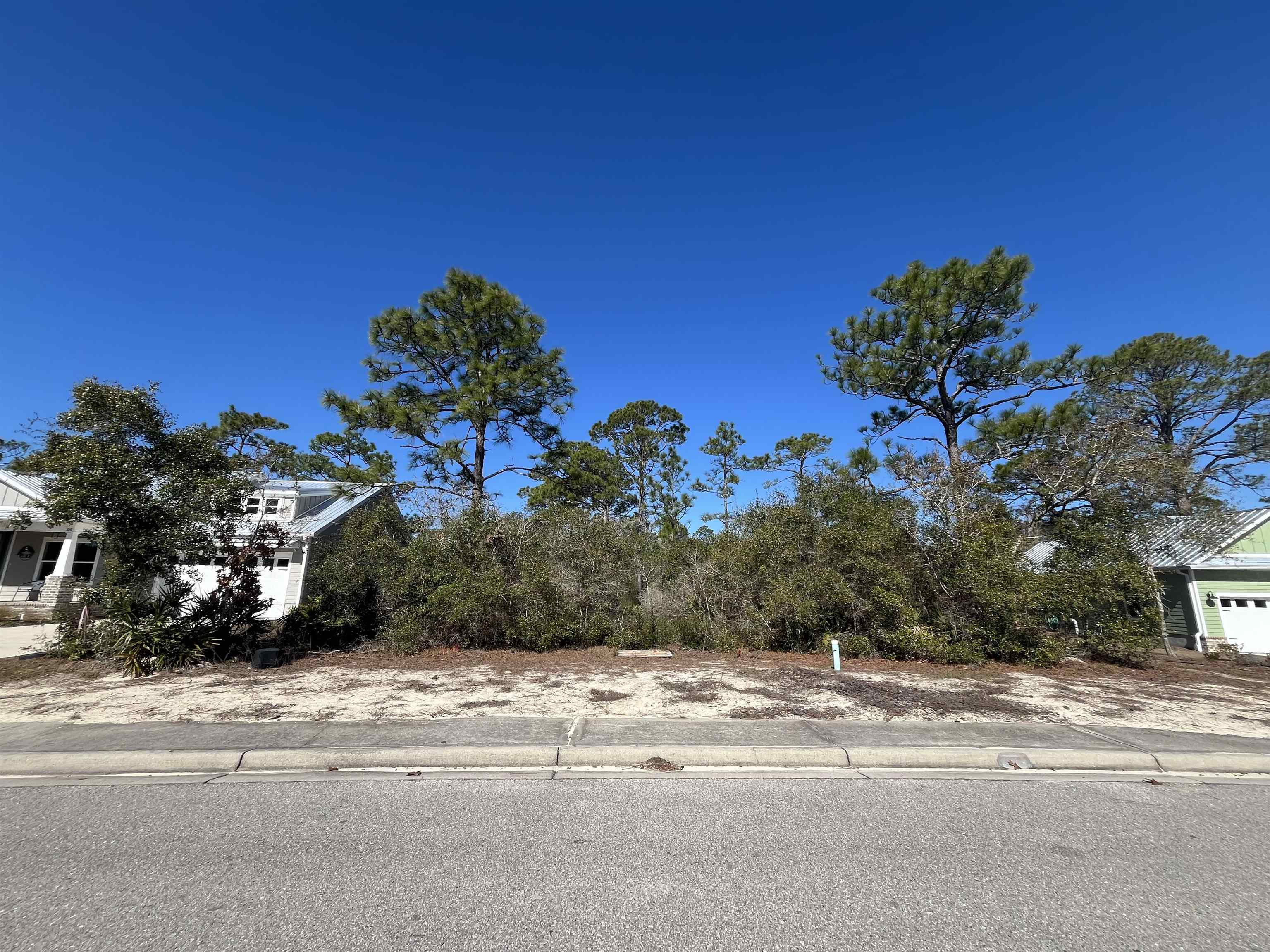 394 Royal Tern Way, Carrabelle, Florida image 1