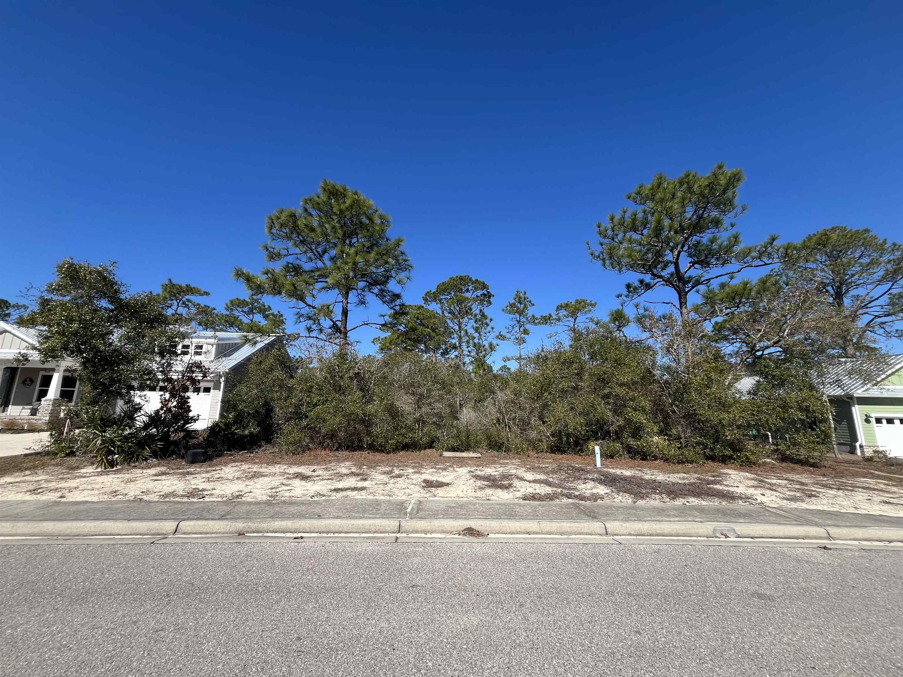 394 Royal Tern Way, Carrabelle, Florida image 2