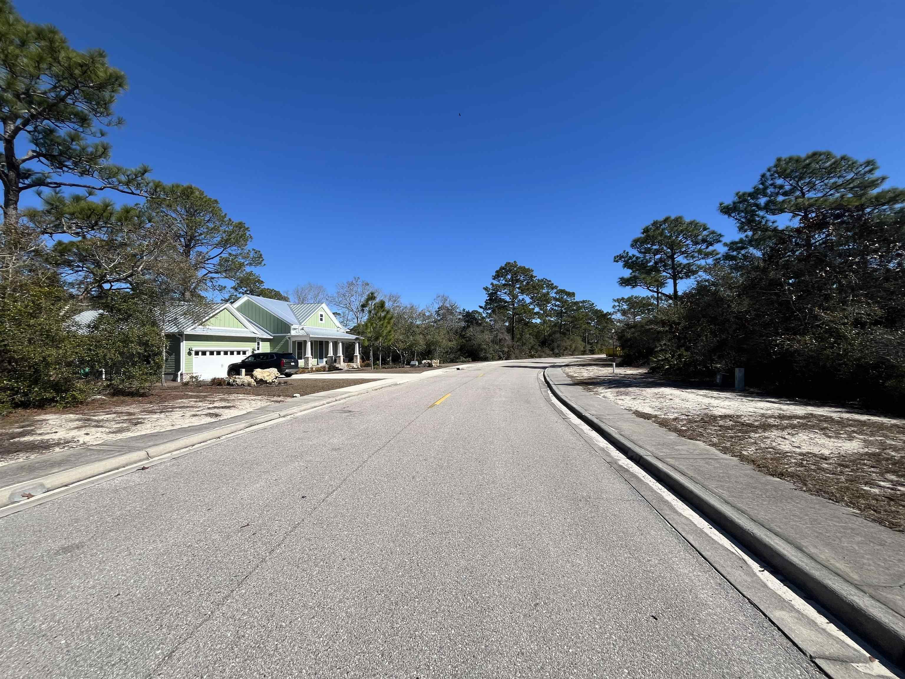 394 Royal Tern Way, Carrabelle, Florida image 3