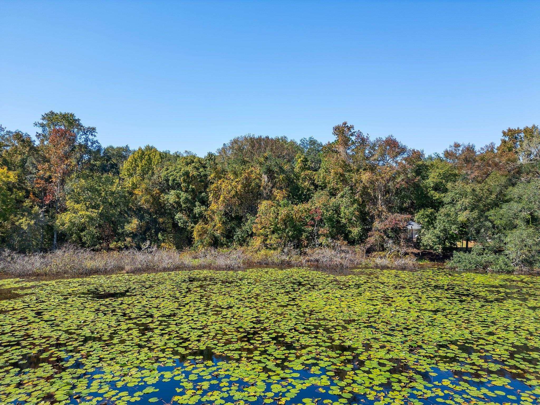 Lake Iamonia Drive, Tallahassee, Florida image 3