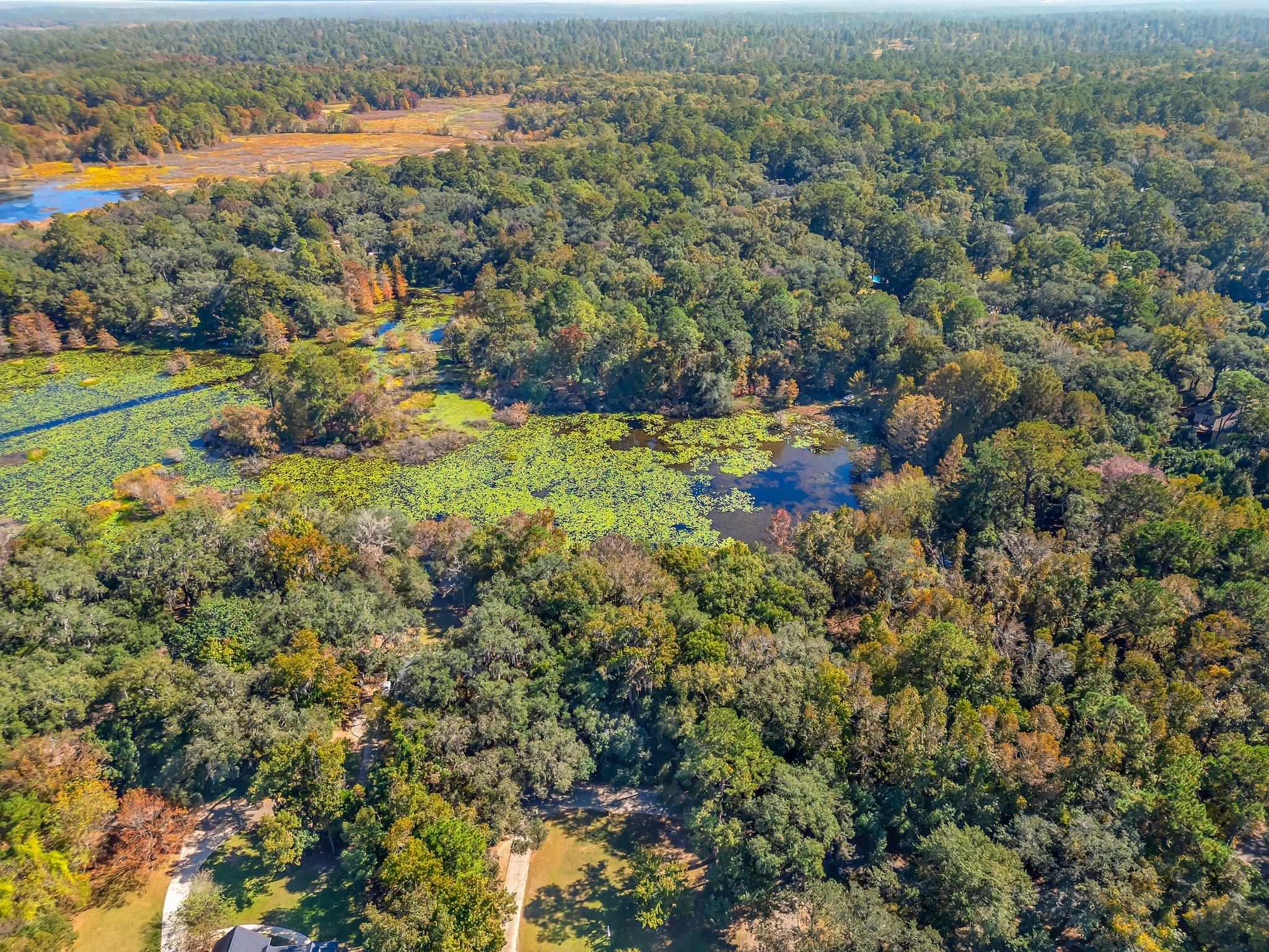 Lake Iamonia Drive, Tallahassee, Florida image 5