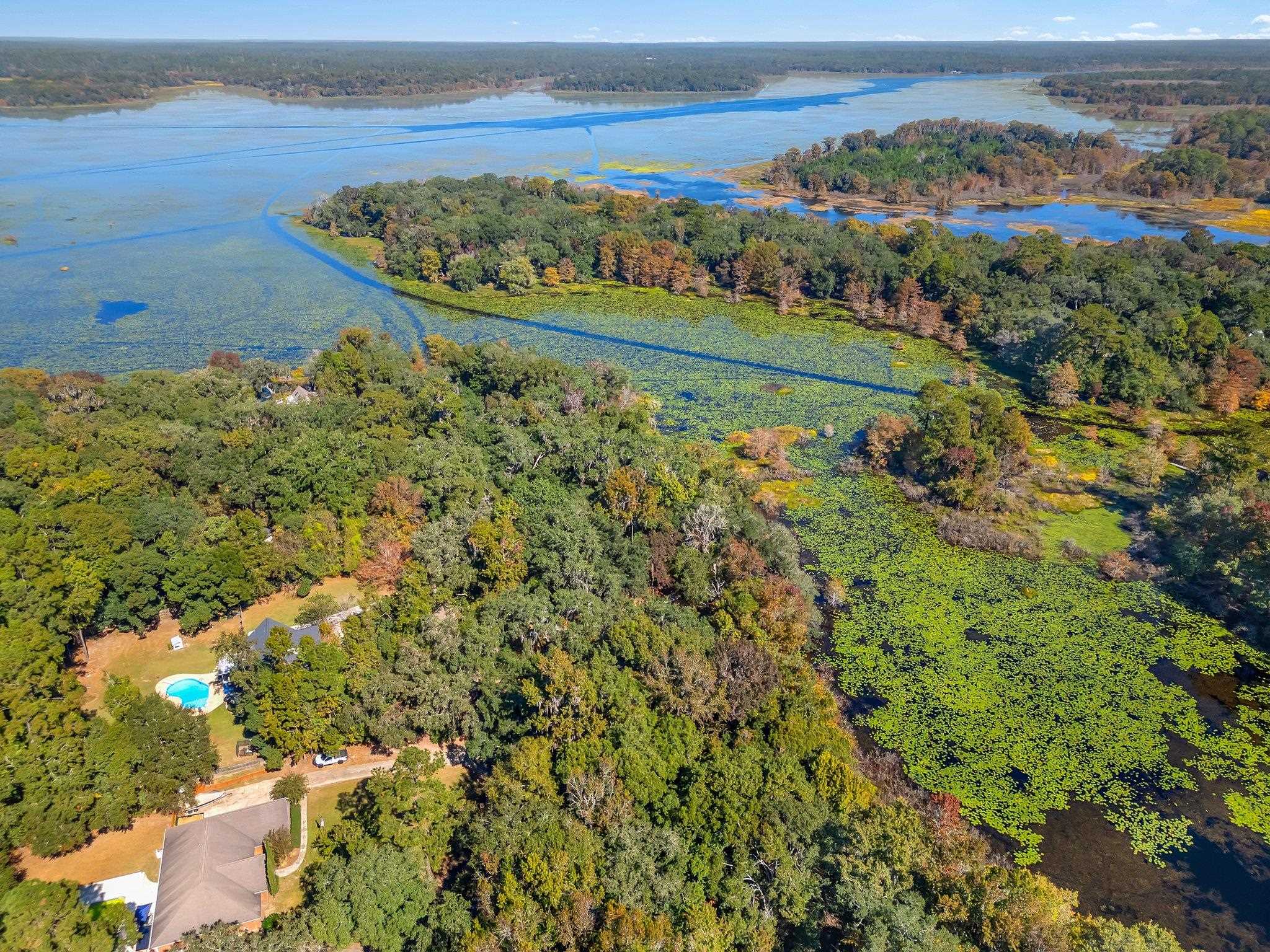 Lake Iamonia Drive, Tallahassee, Florida image 7