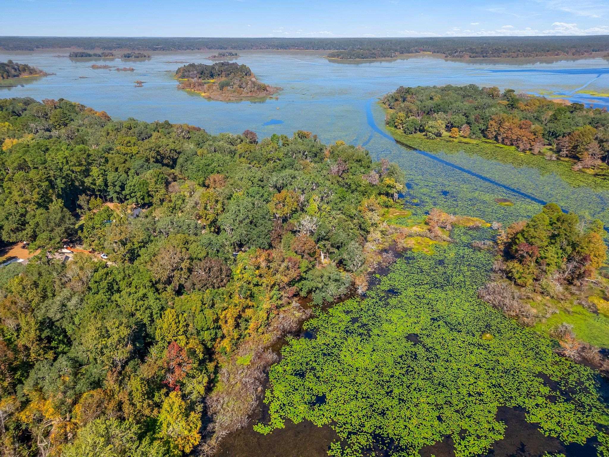 Lake Iamonia Drive, Tallahassee, Florida image 8