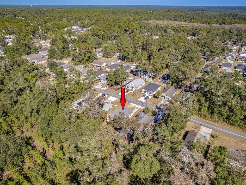 182 Tafflinger Road, Crawfordville, Florida image 38