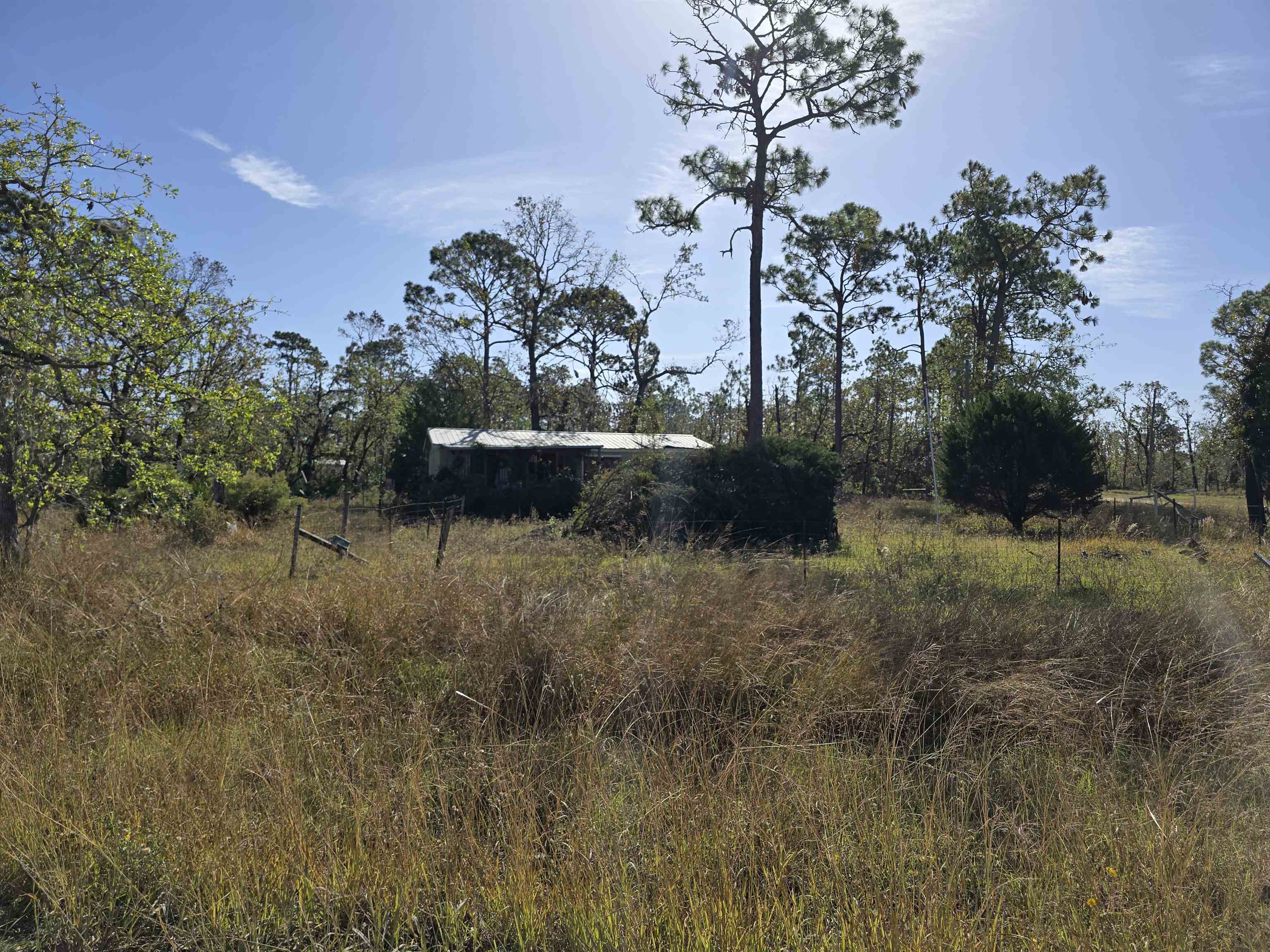 2505 Post Oak Road, Keaton Beach, Florida image 3