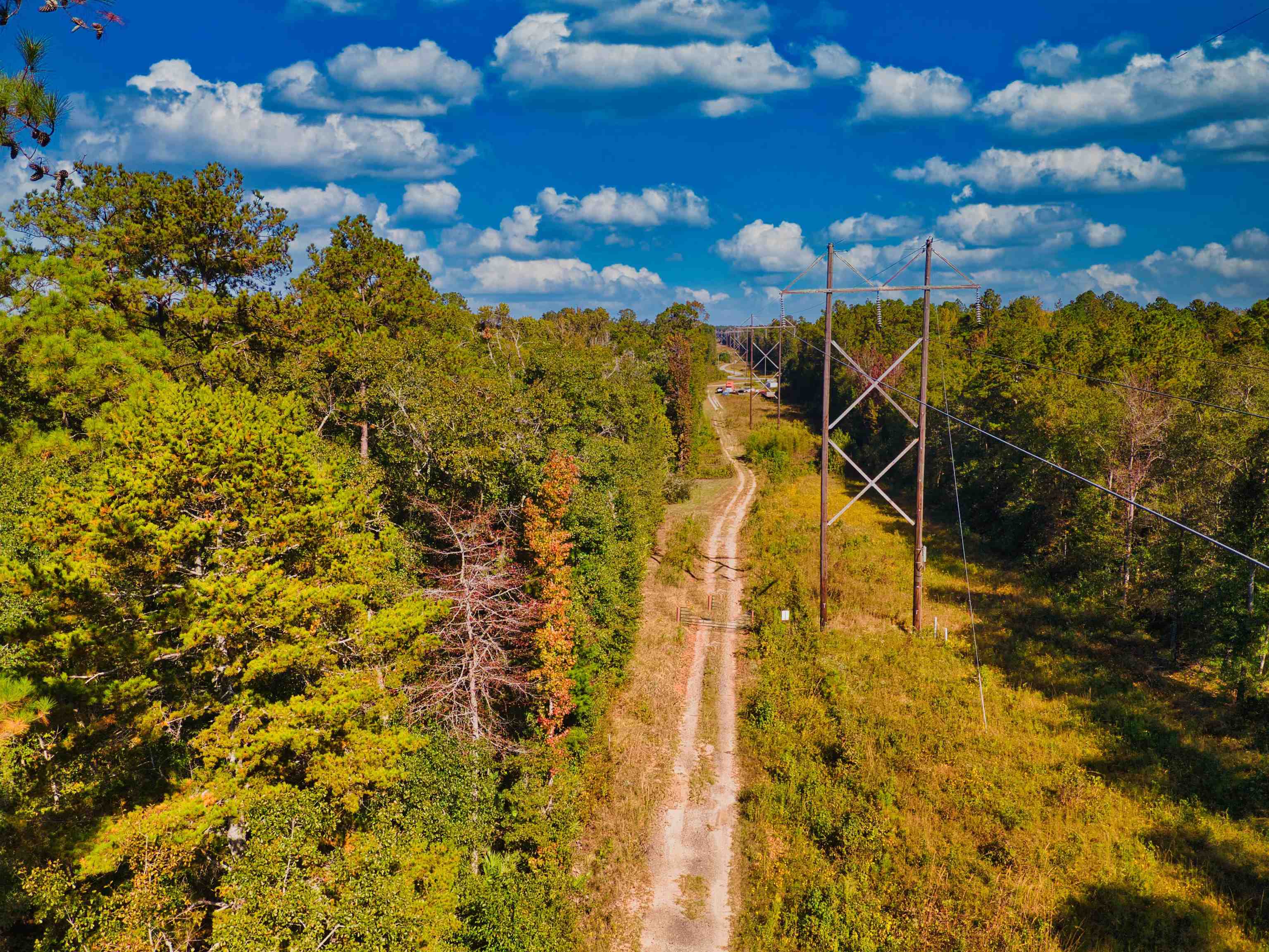 Iron Bridge Road, Havana, Florida image 12