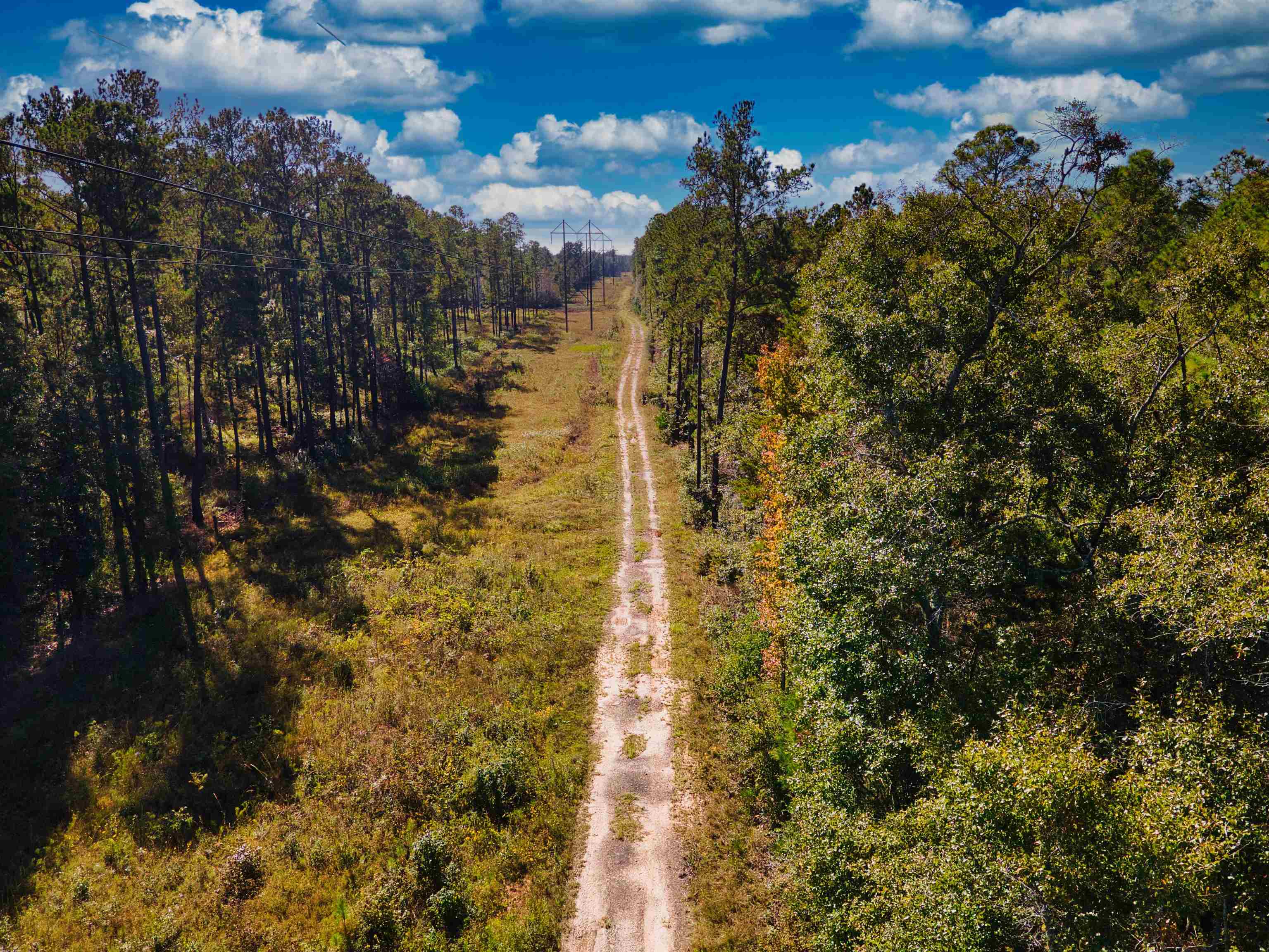 Iron Bridge Road, Havana, Florida image 13