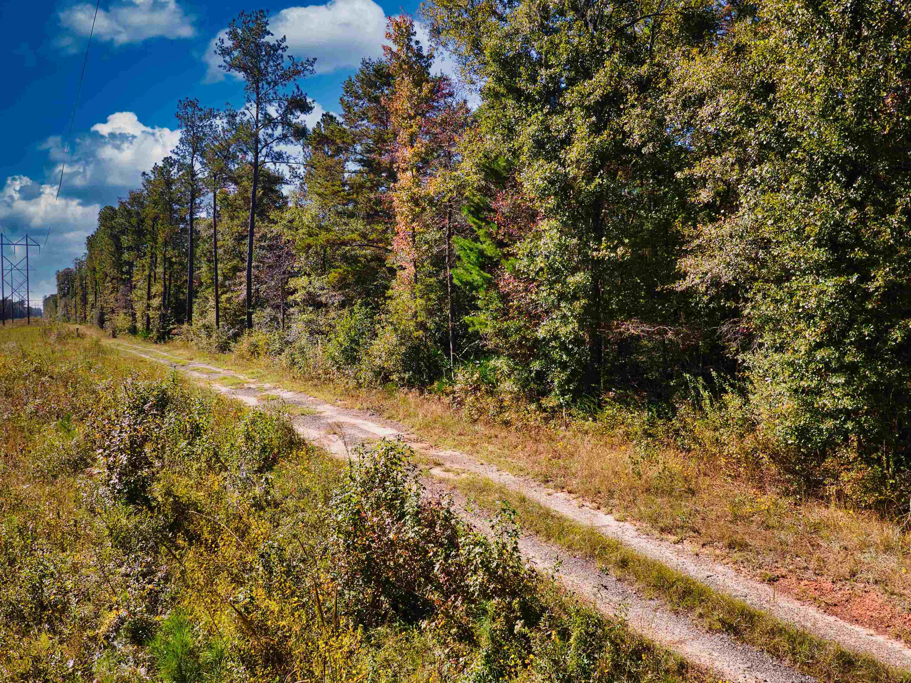 Iron Bridge Road, Havana, Florida image 14