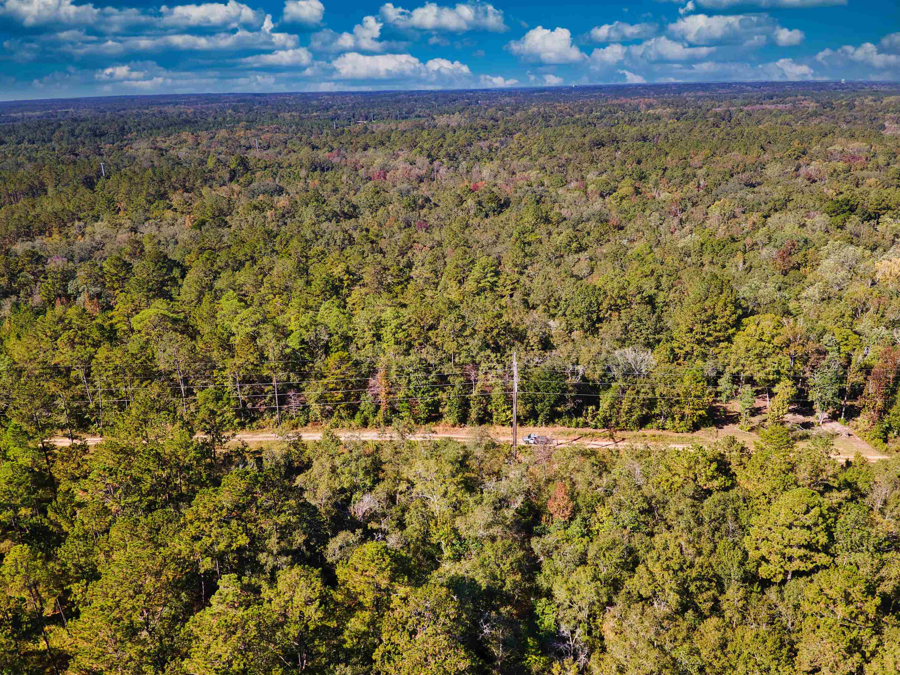 Iron Bridge Road, Havana, Florida image 18