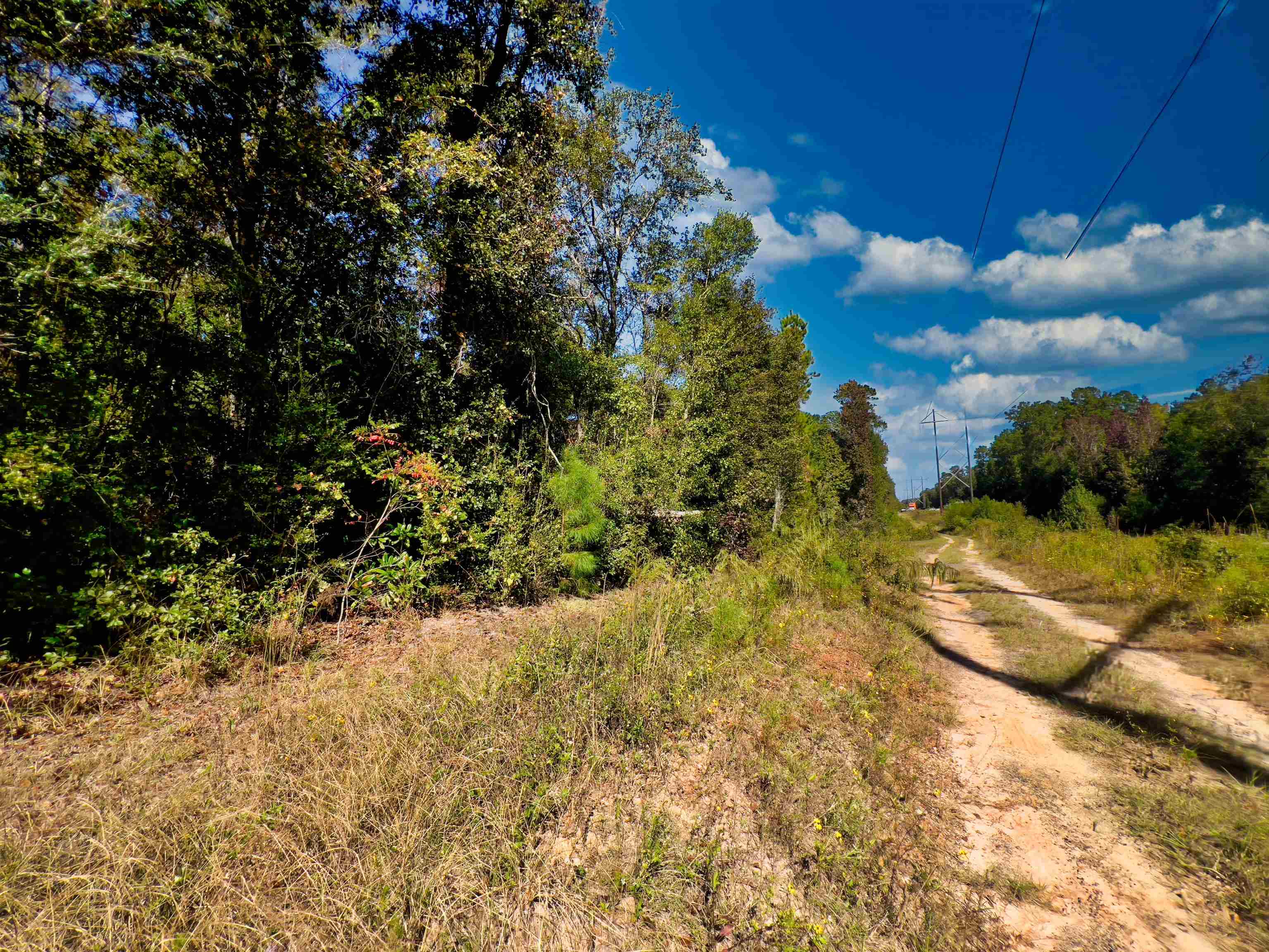 Iron Bridge Road, Havana, Florida image 20