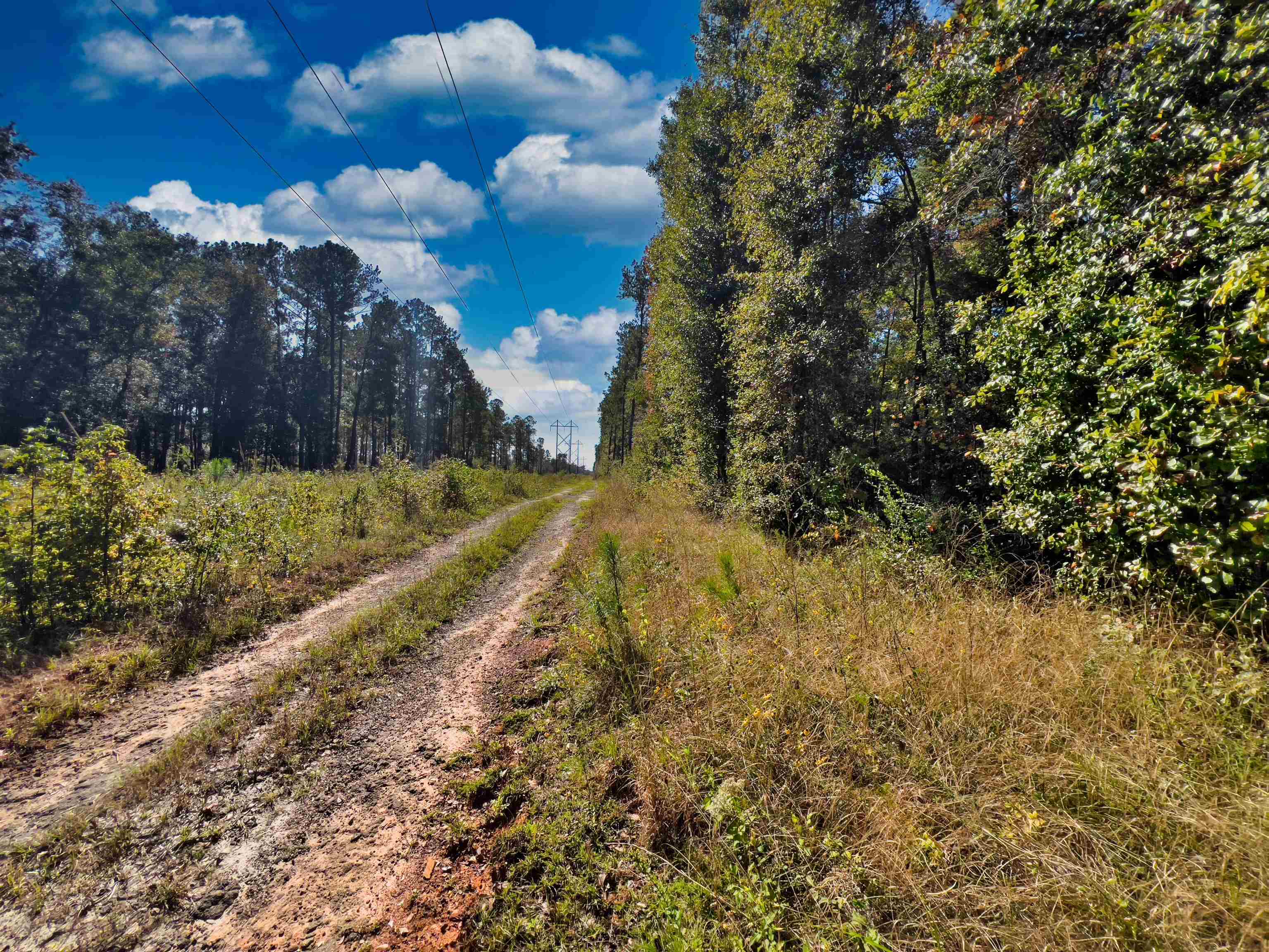 Iron Bridge Road, Havana, Florida image 21