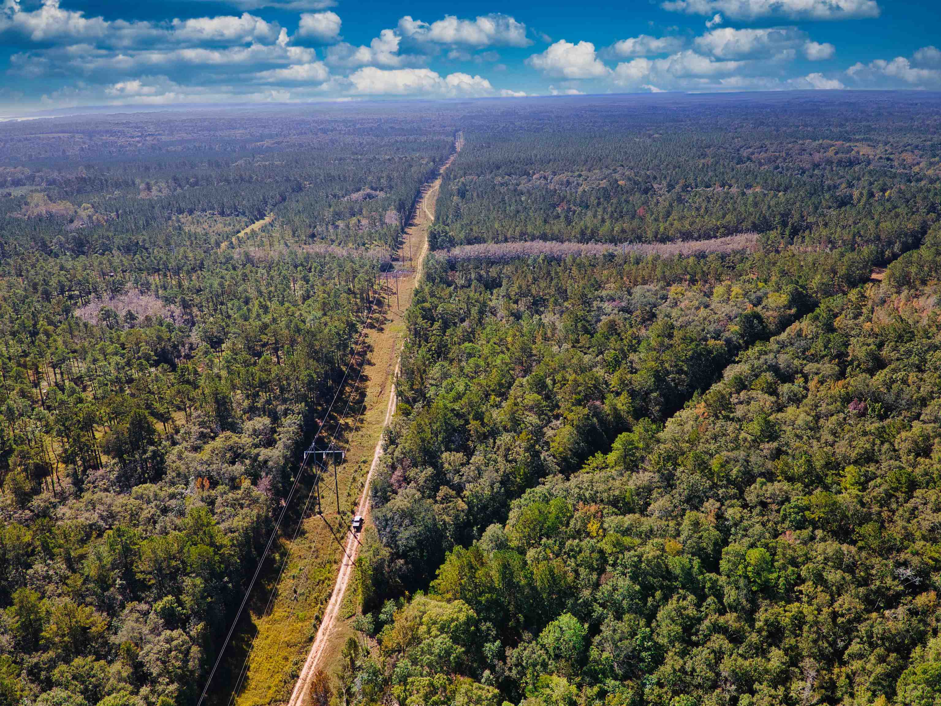 Iron Bridge Road, Havana, Florida image 8