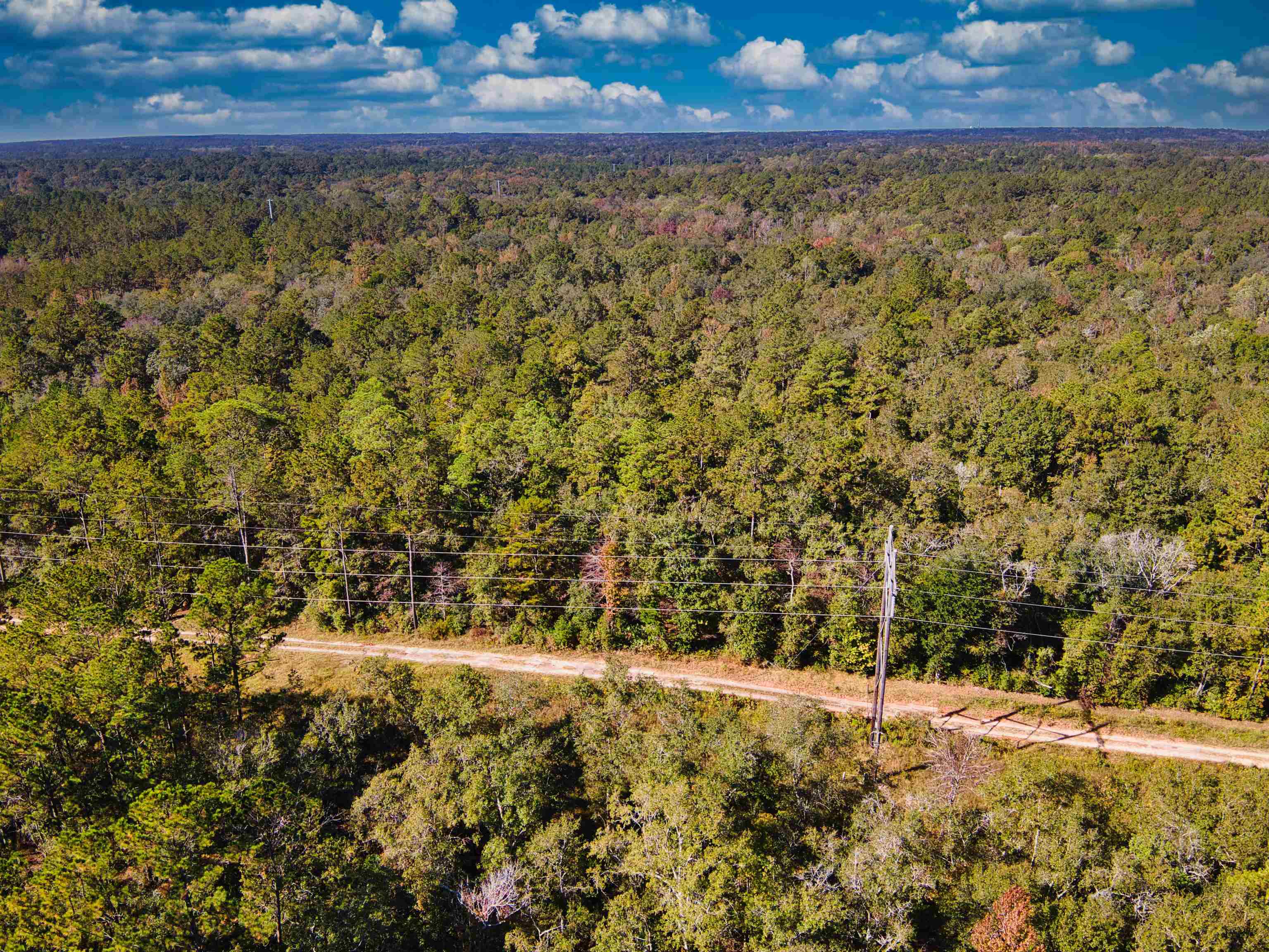 Iron Bridge Road, Havana, Florida image 9