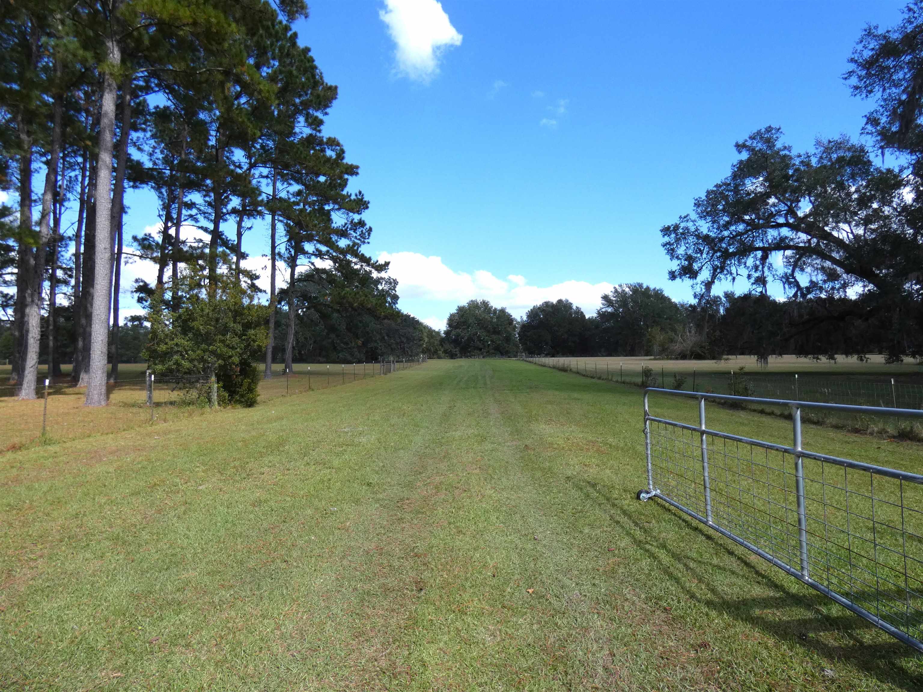 TBD Taylor Road, Monticello, Florida image 1