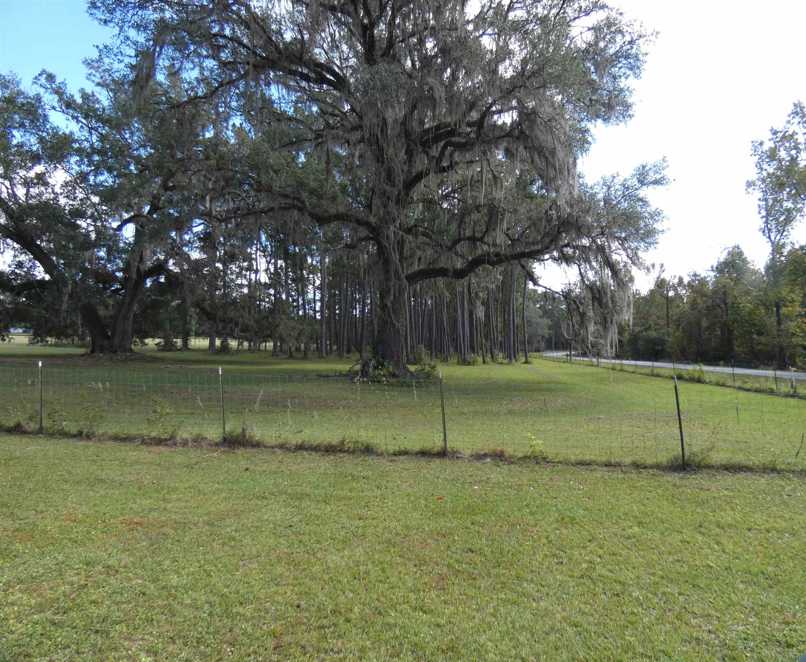 TBD Taylor Road, Monticello, Florida image 2