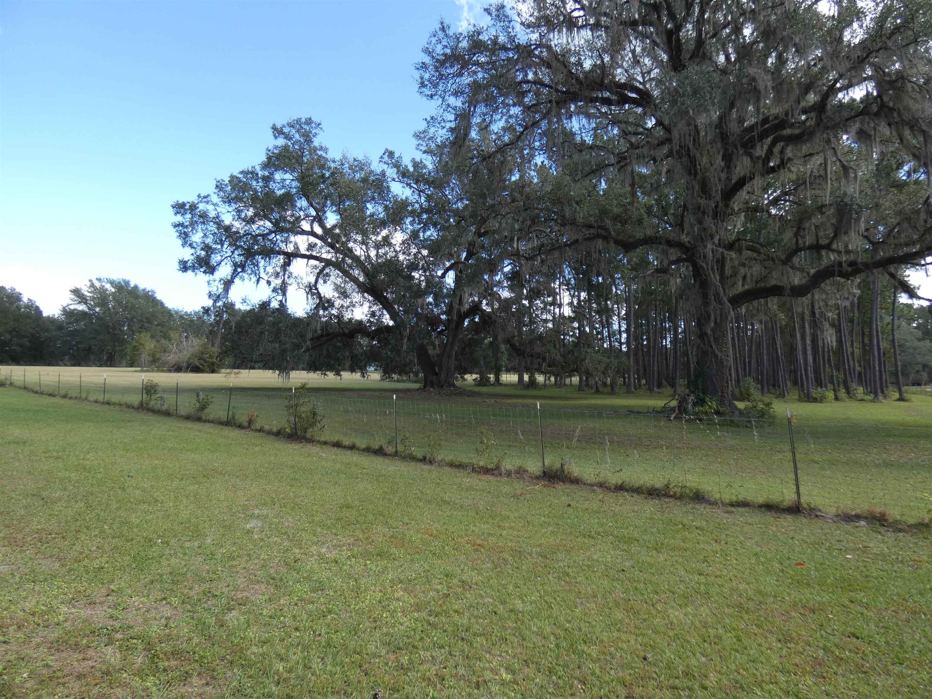 TBD Taylor Road, Monticello, Florida image 3