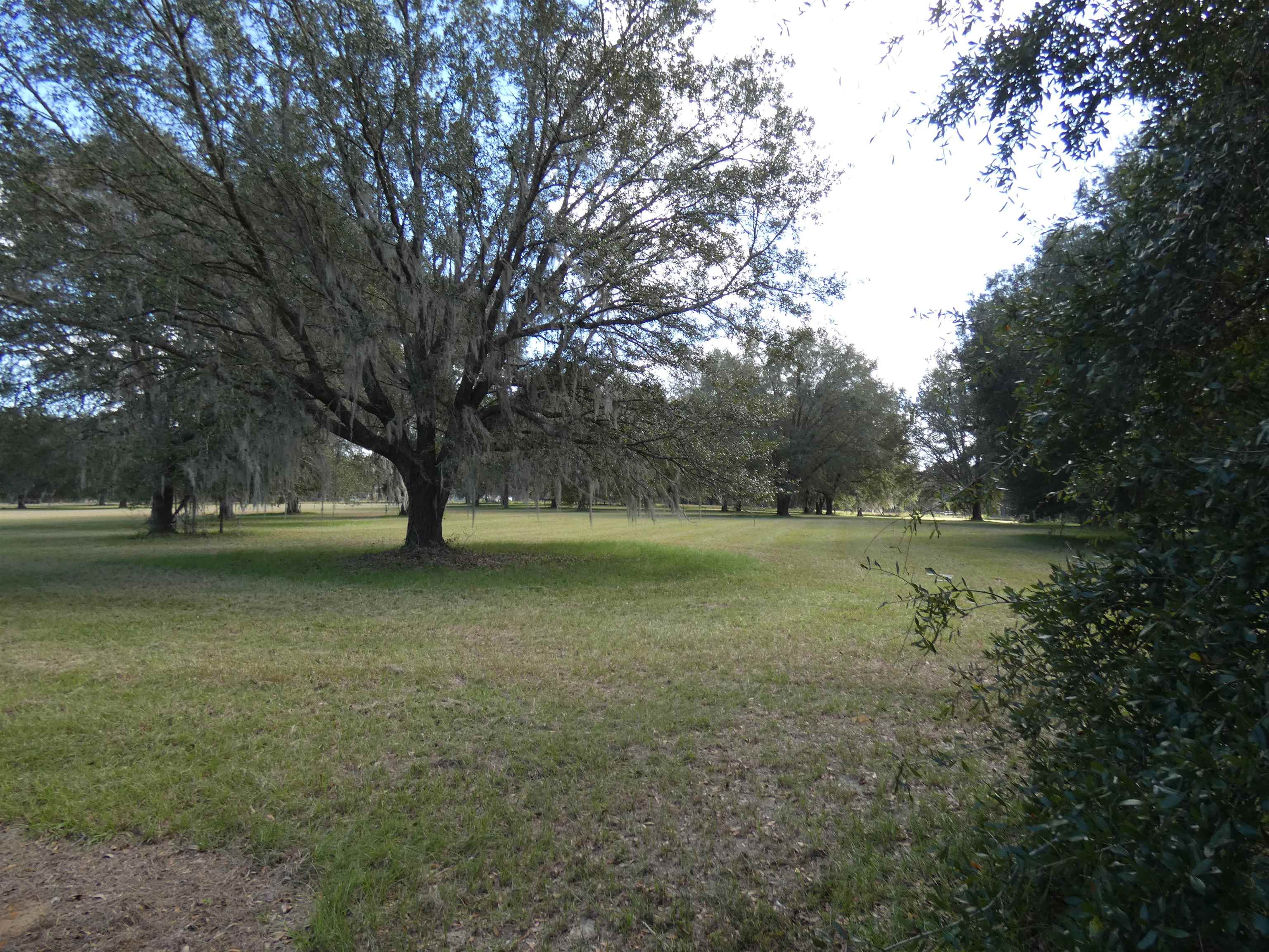 TBD Taylor Road, Monticello, Florida image 4